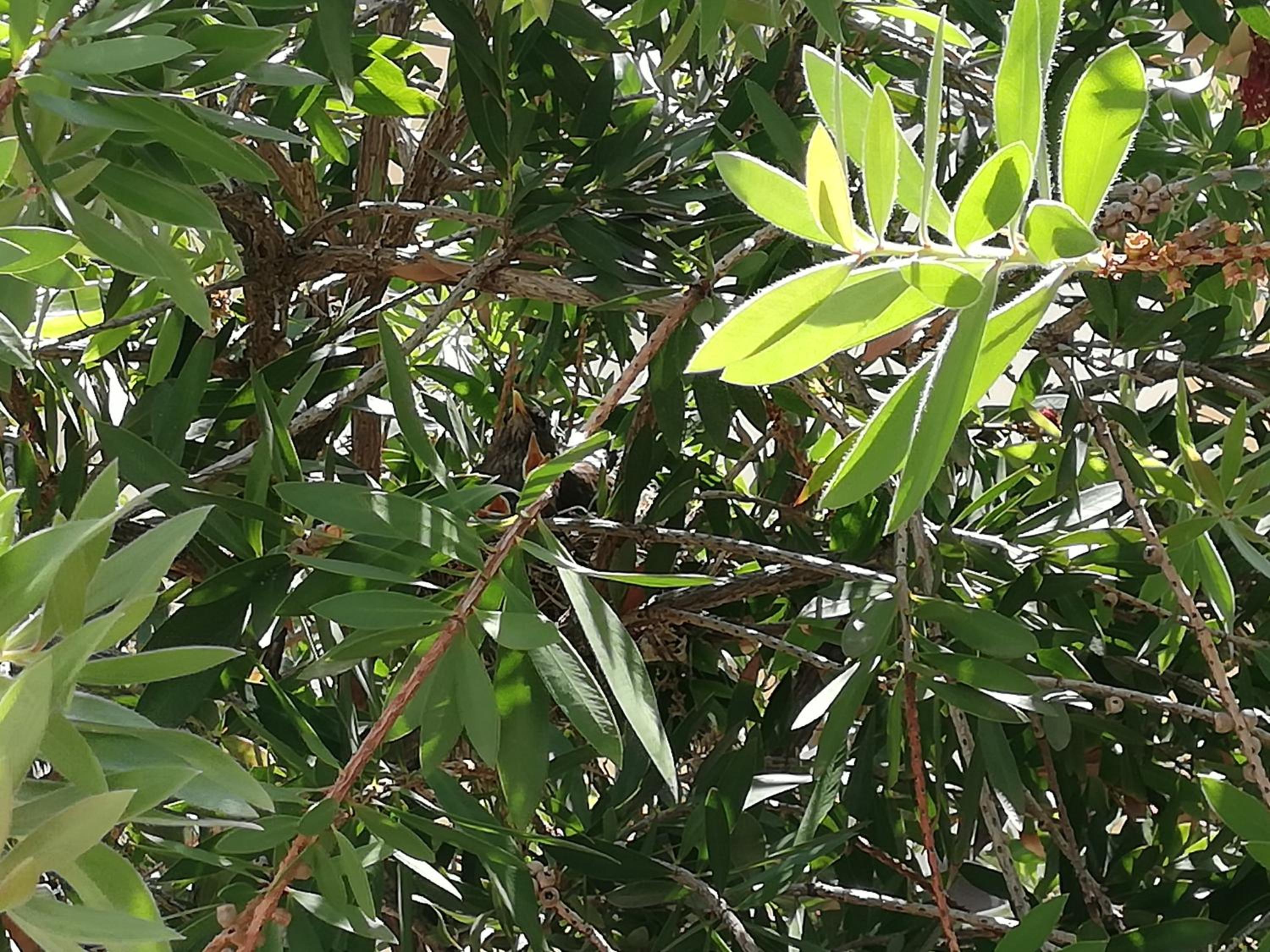 Photo 41