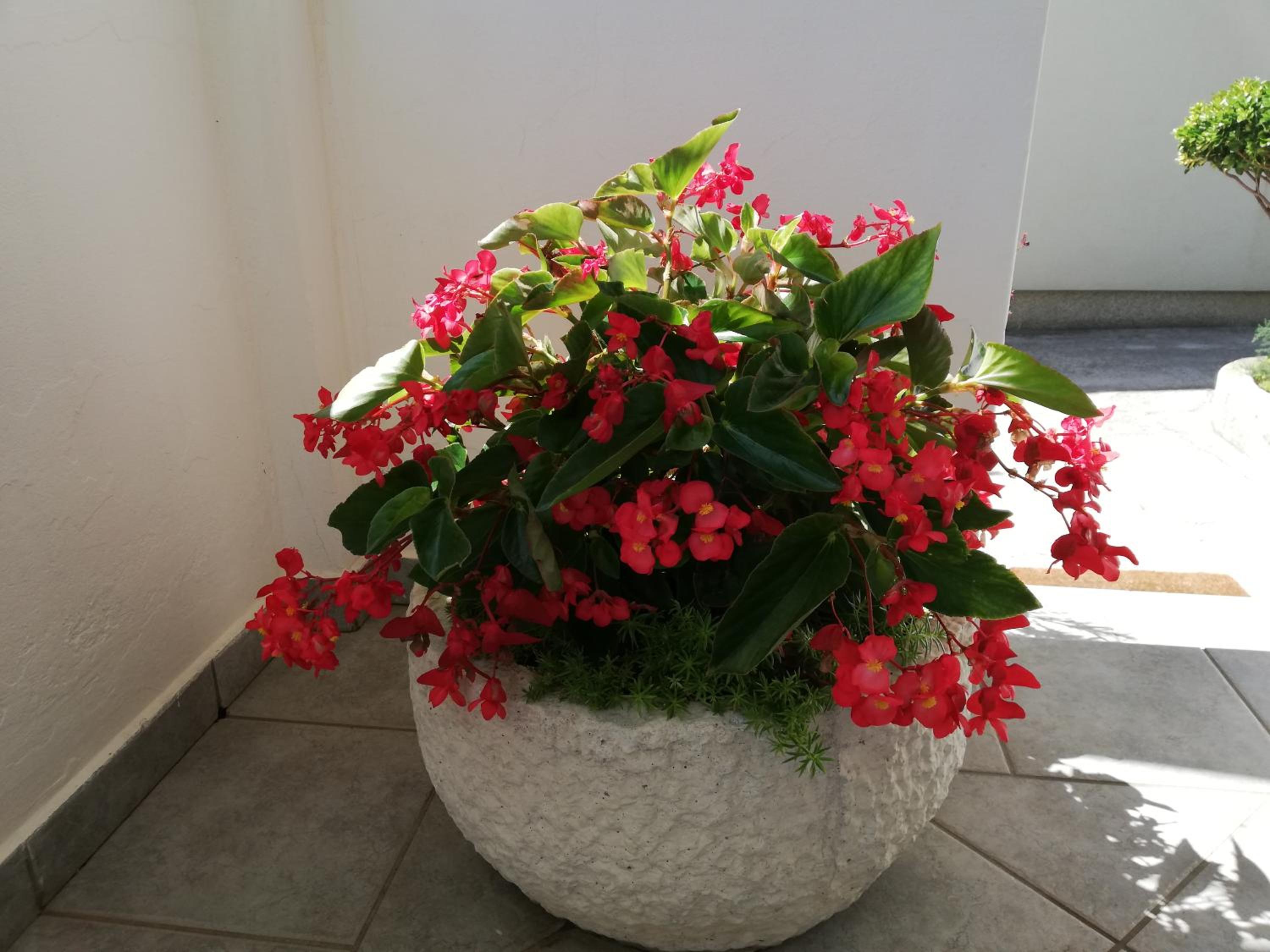 Photo 46