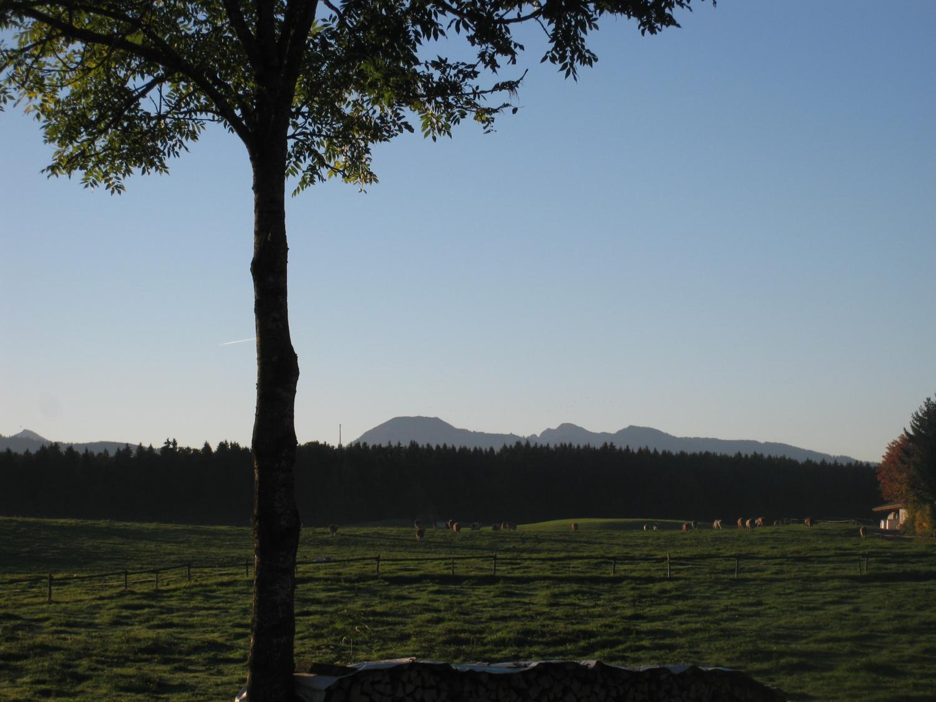 Woidhauserhof view 5