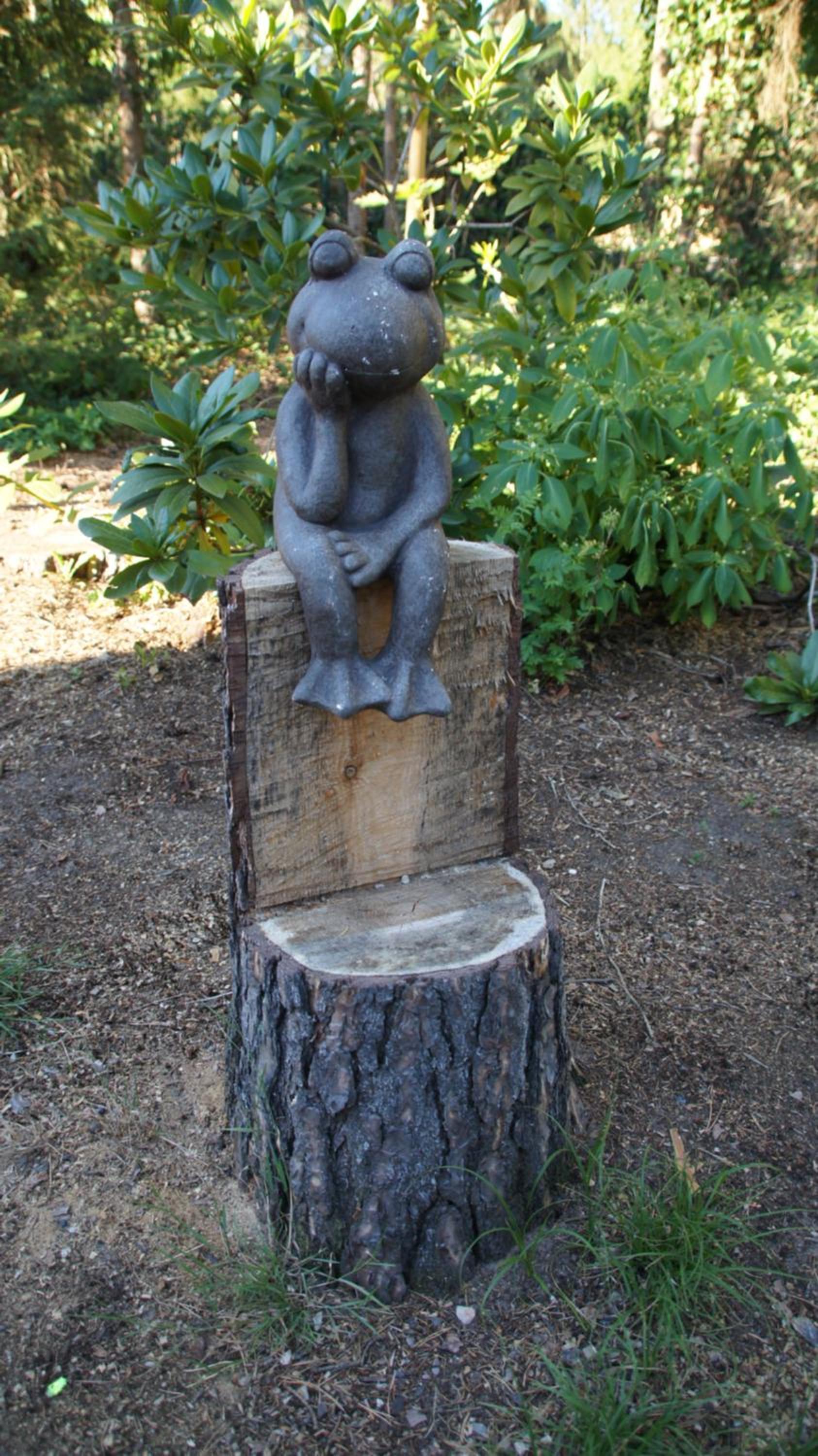 Photo 47
