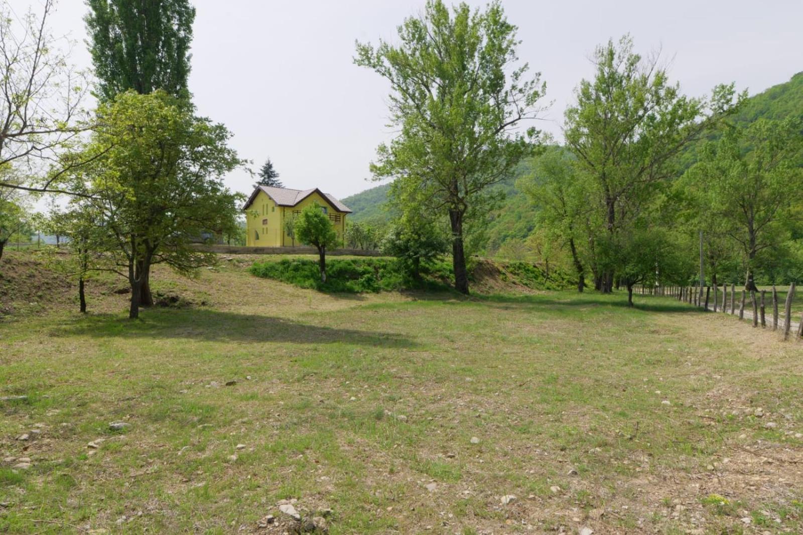 Photo 23