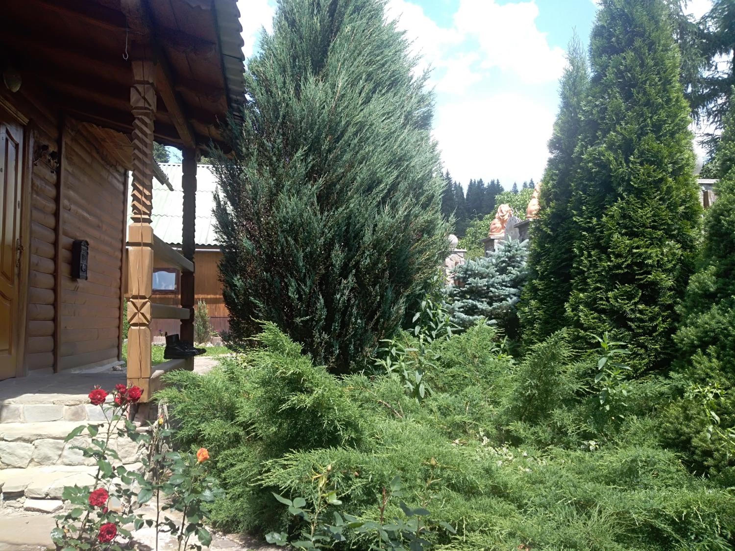 Photo 25