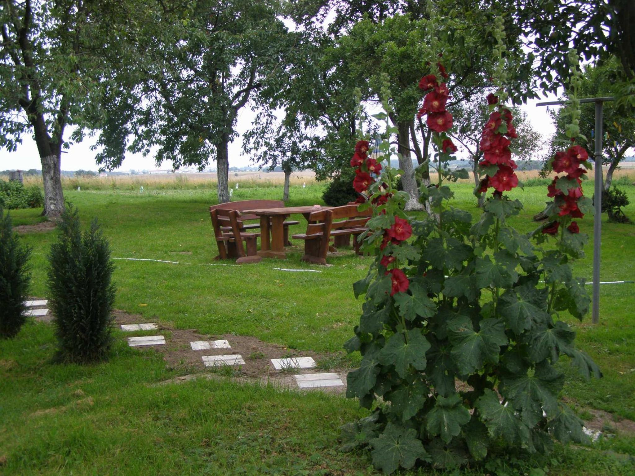 Photo 35