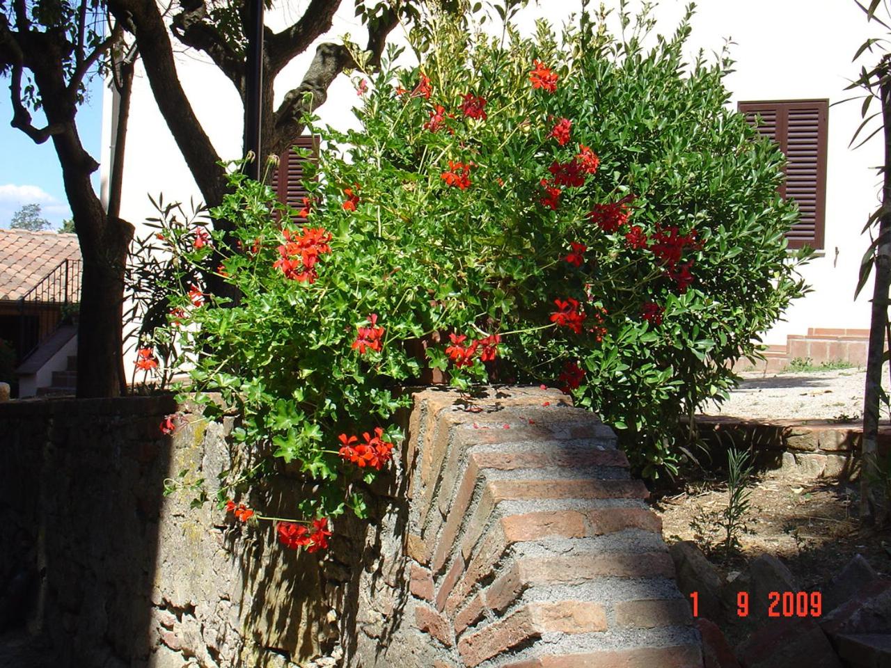 Fattoria Casanova