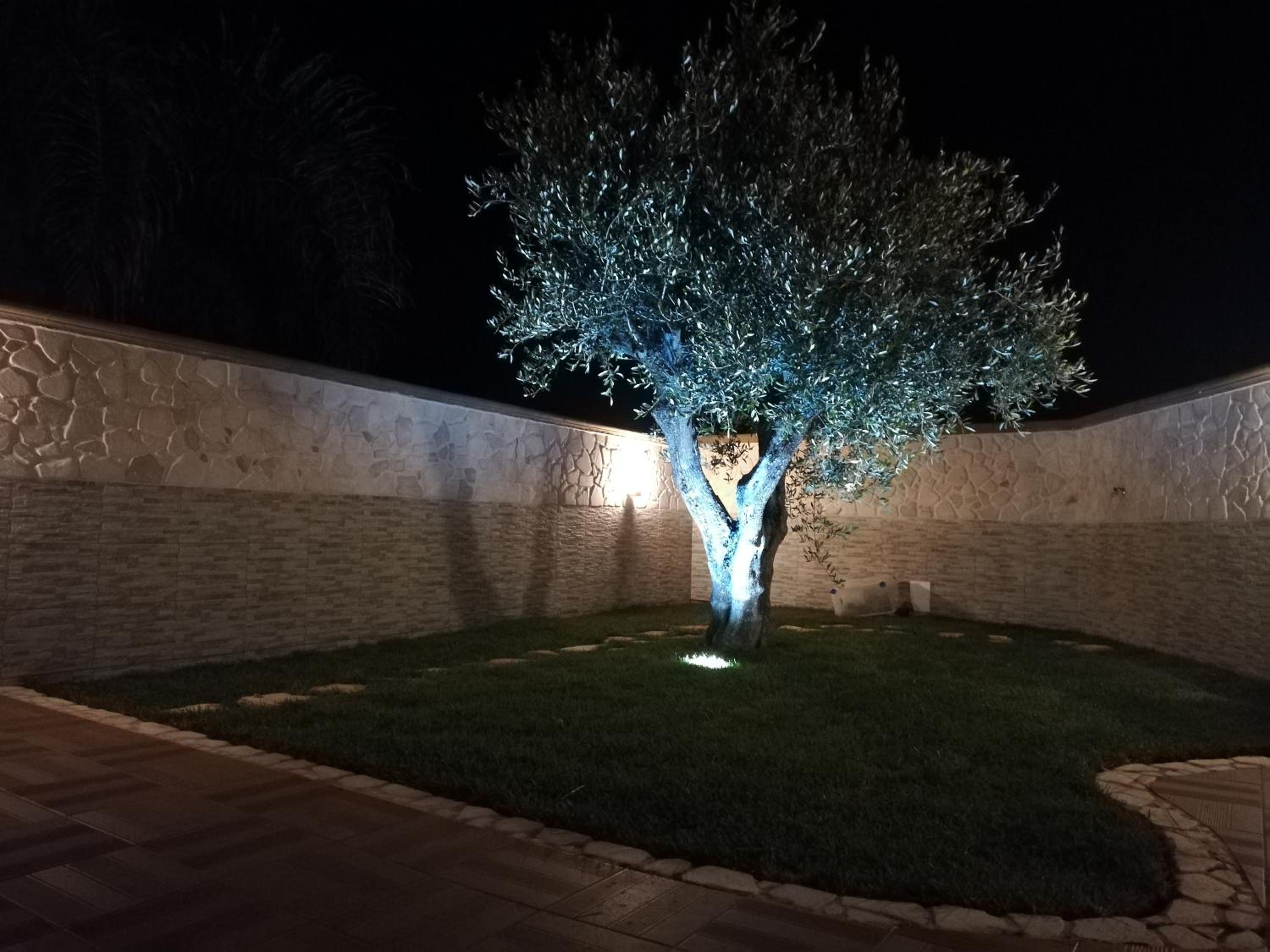 B&B Villa Venere view 5
