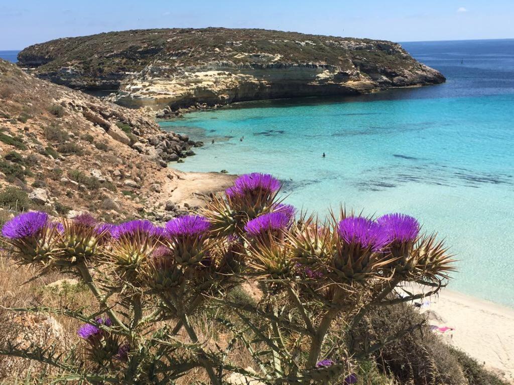 Camere a Sud - Lampedusa photo 2