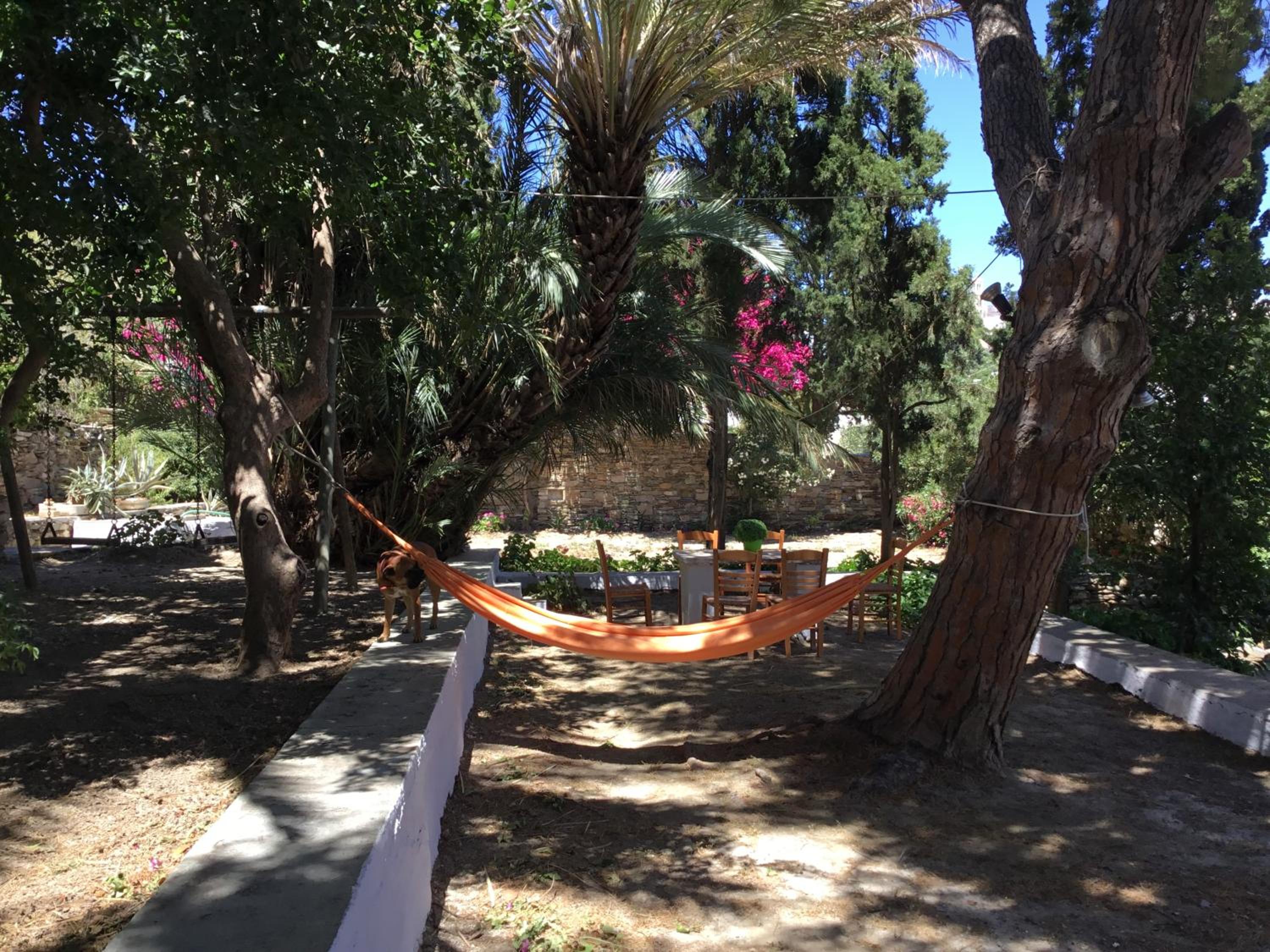 Katina's garden studio view 3