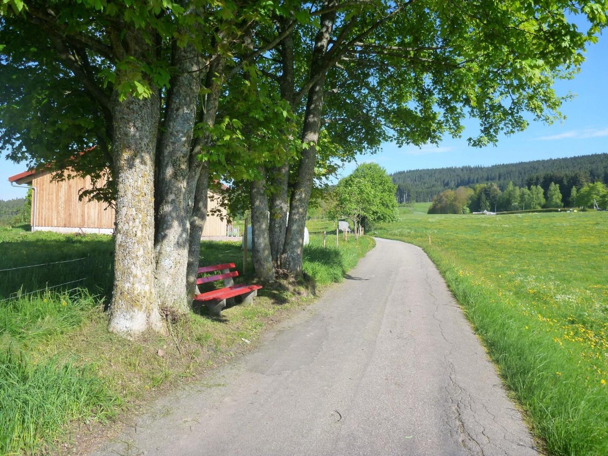 Photo 14
