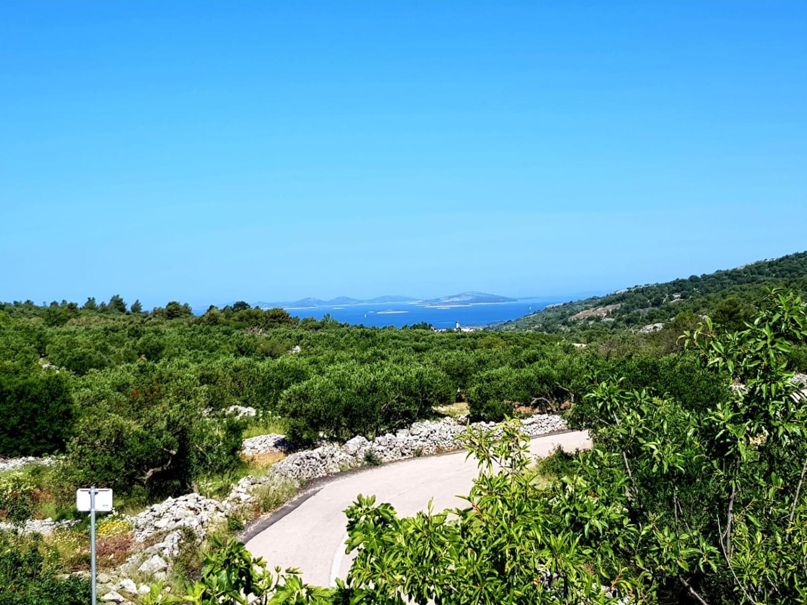 Peaceful home Olea oblica view 3