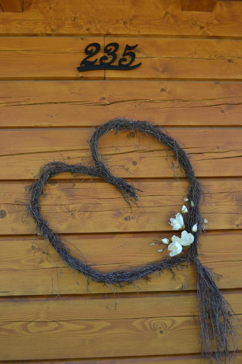 Photo 45