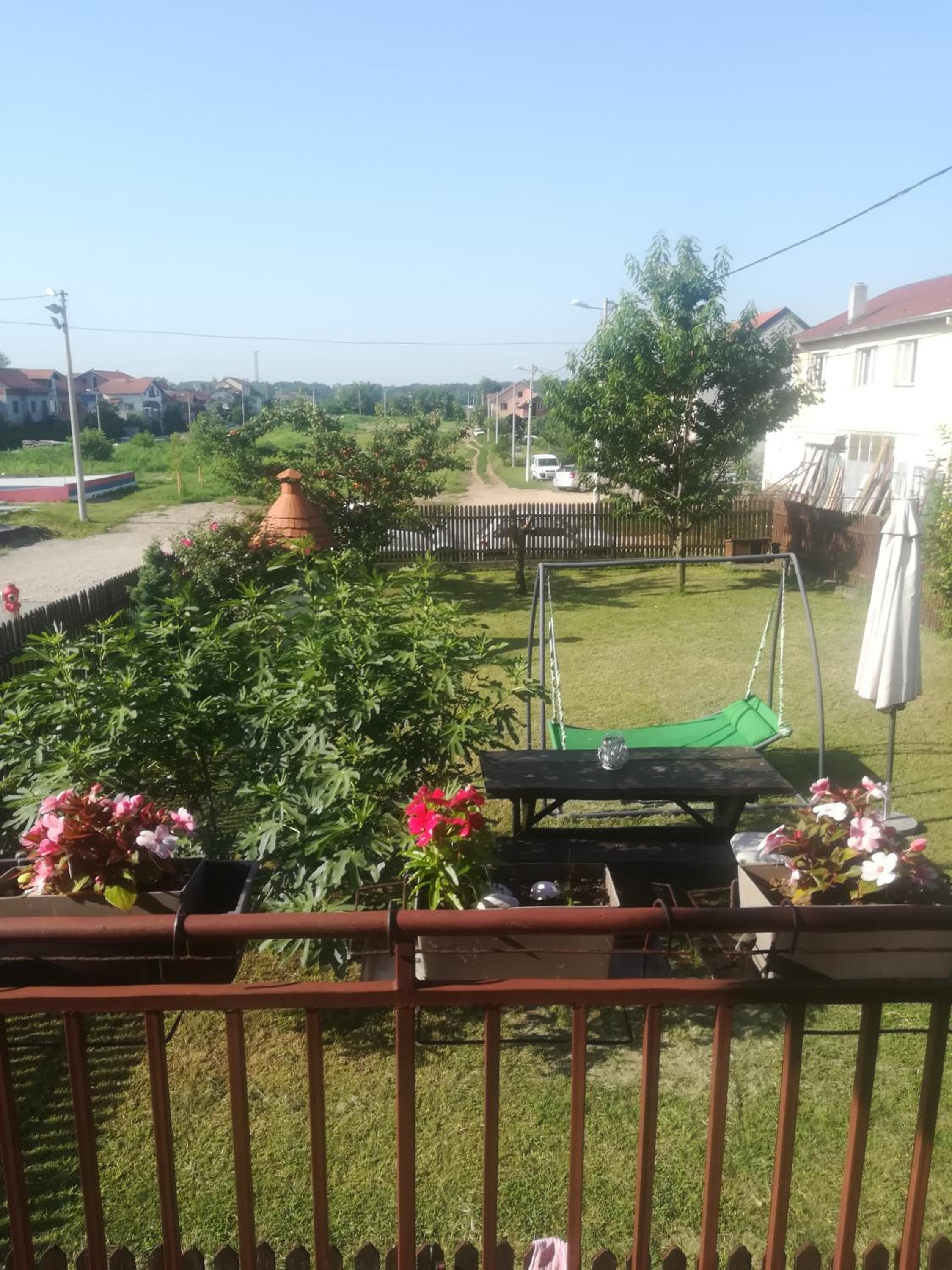 Photo 11