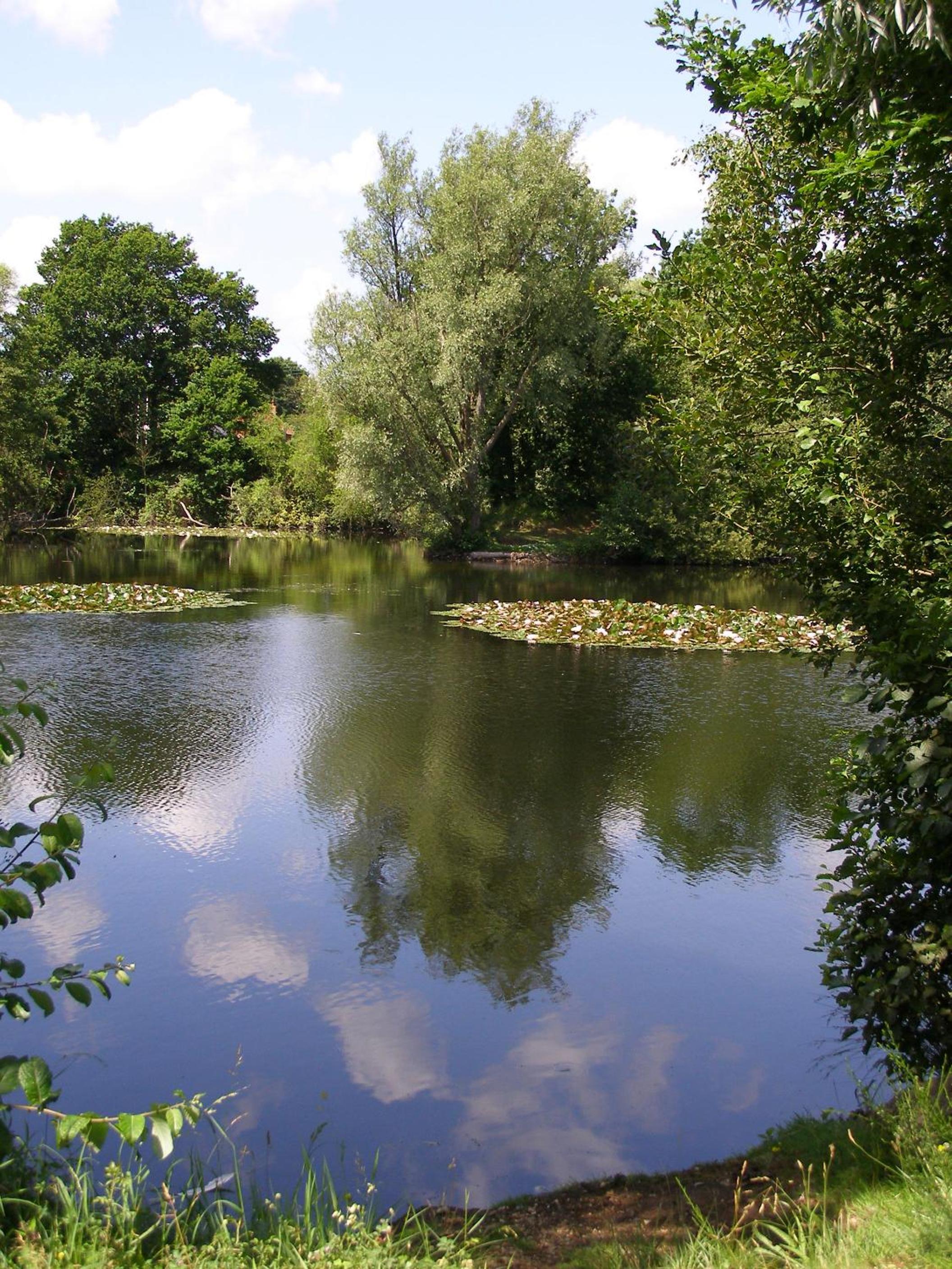 Photo 10