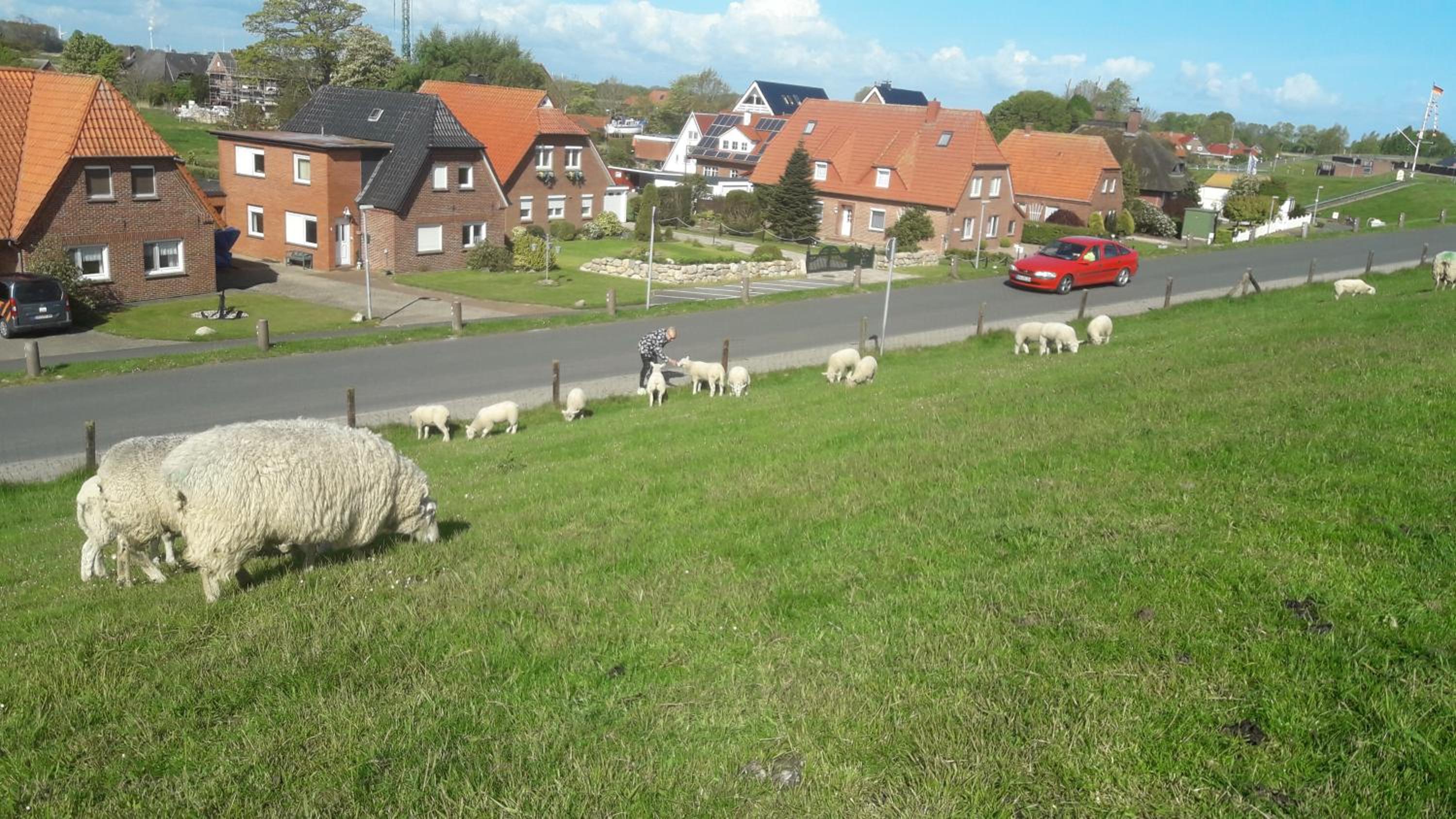 Haus Heimathafen Fedsiel