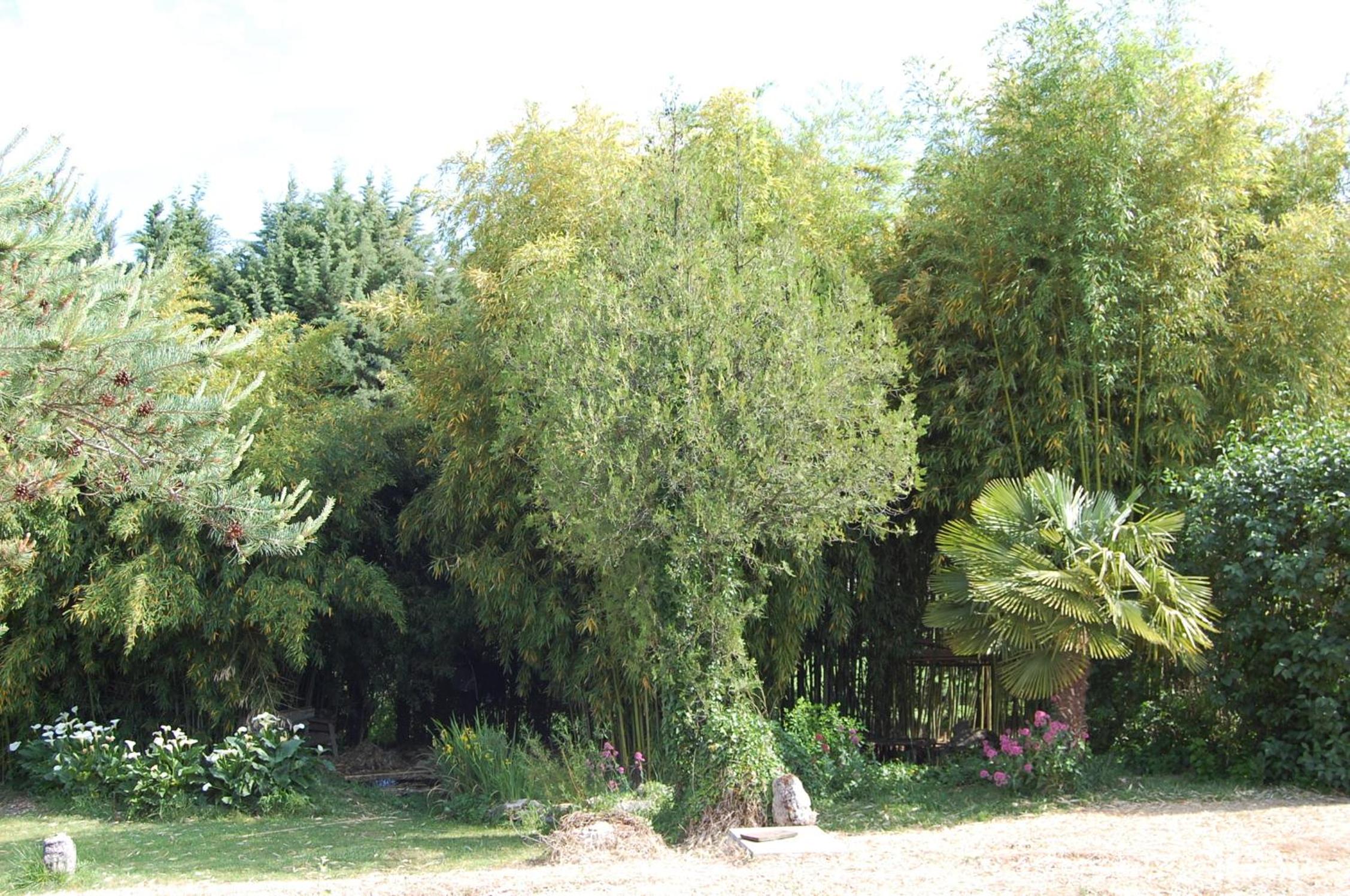 Photo 38
