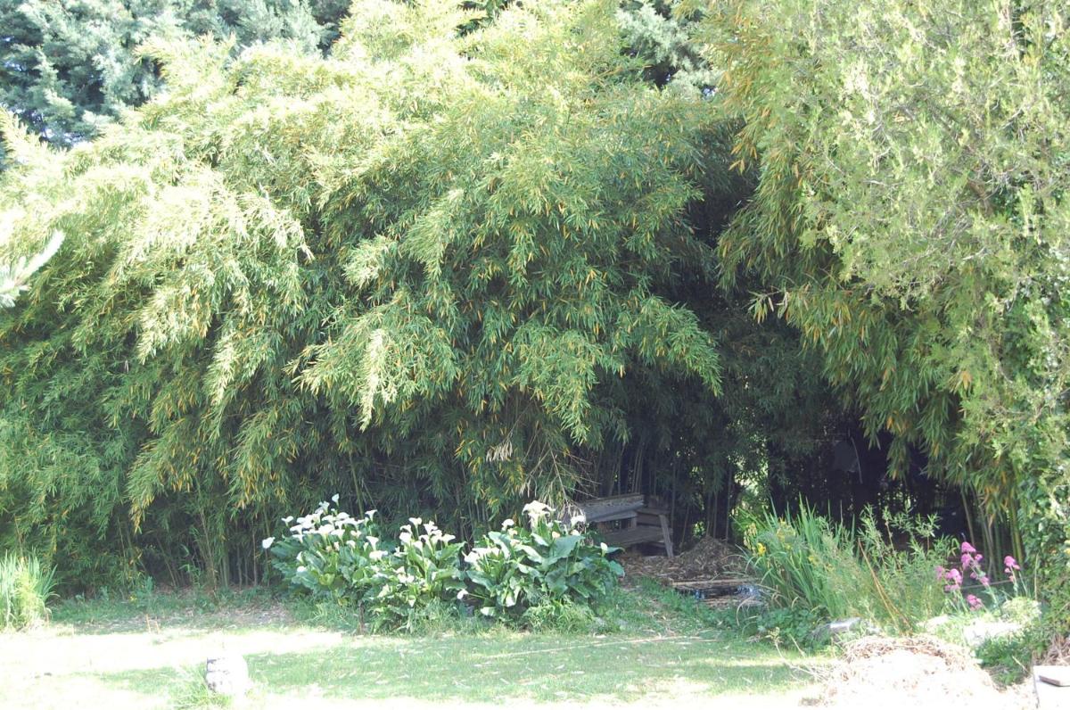 Photo 13