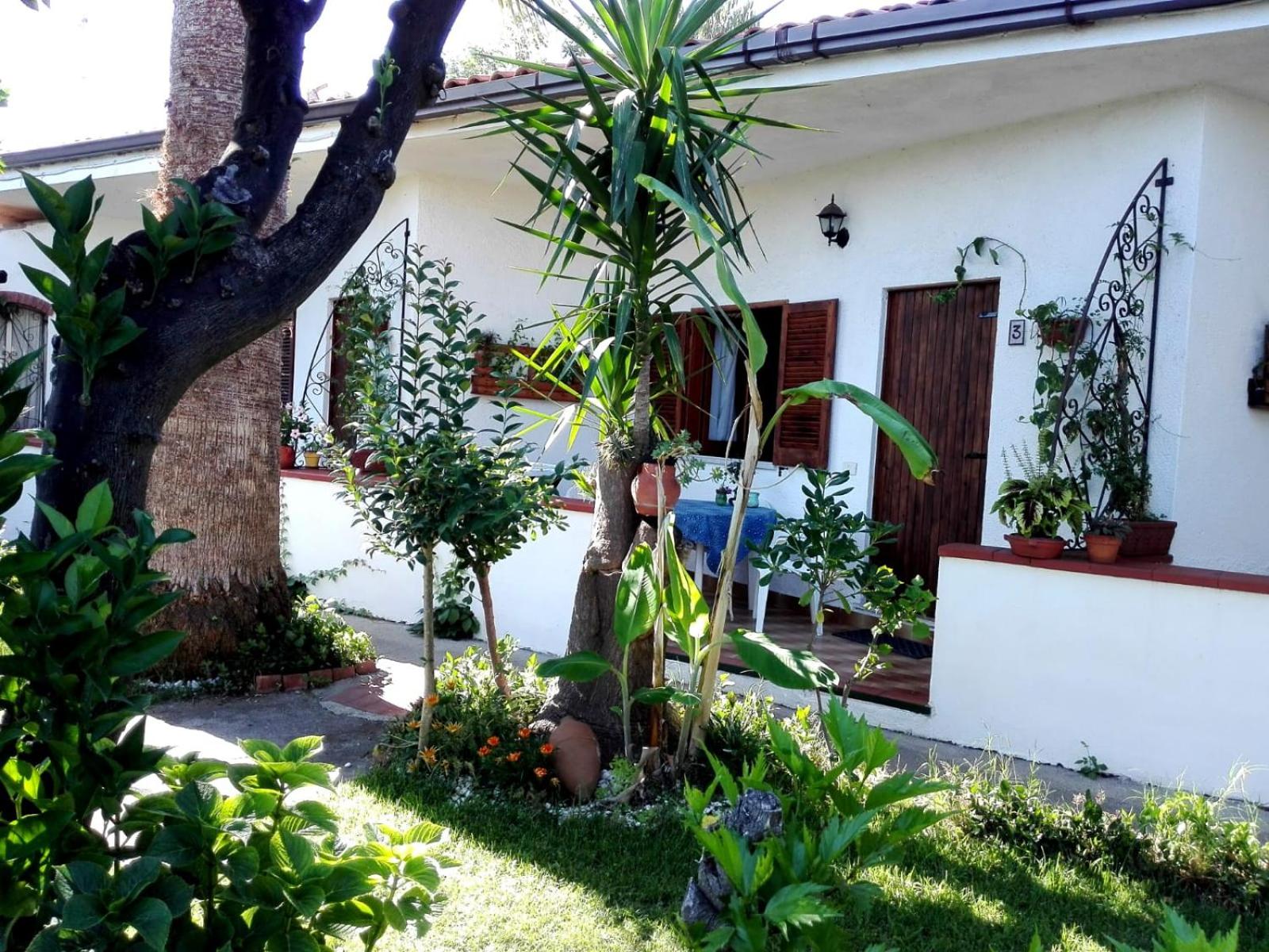 Photo 22