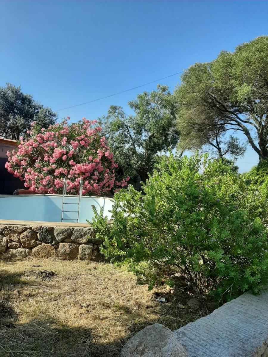 Villa Giuseppina — photo 2