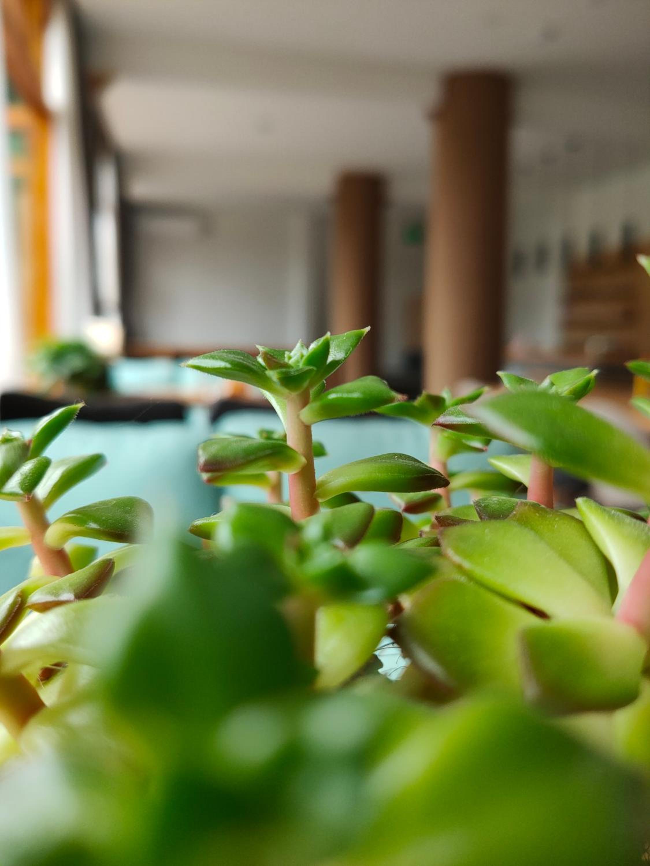 Zhaoxing W Lodge