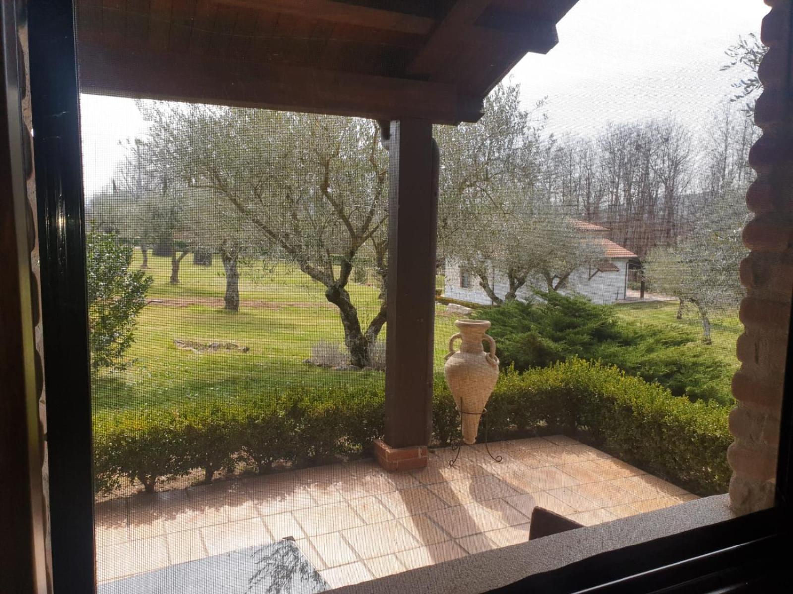 Agriturismo IL CASTAGNETO view 5