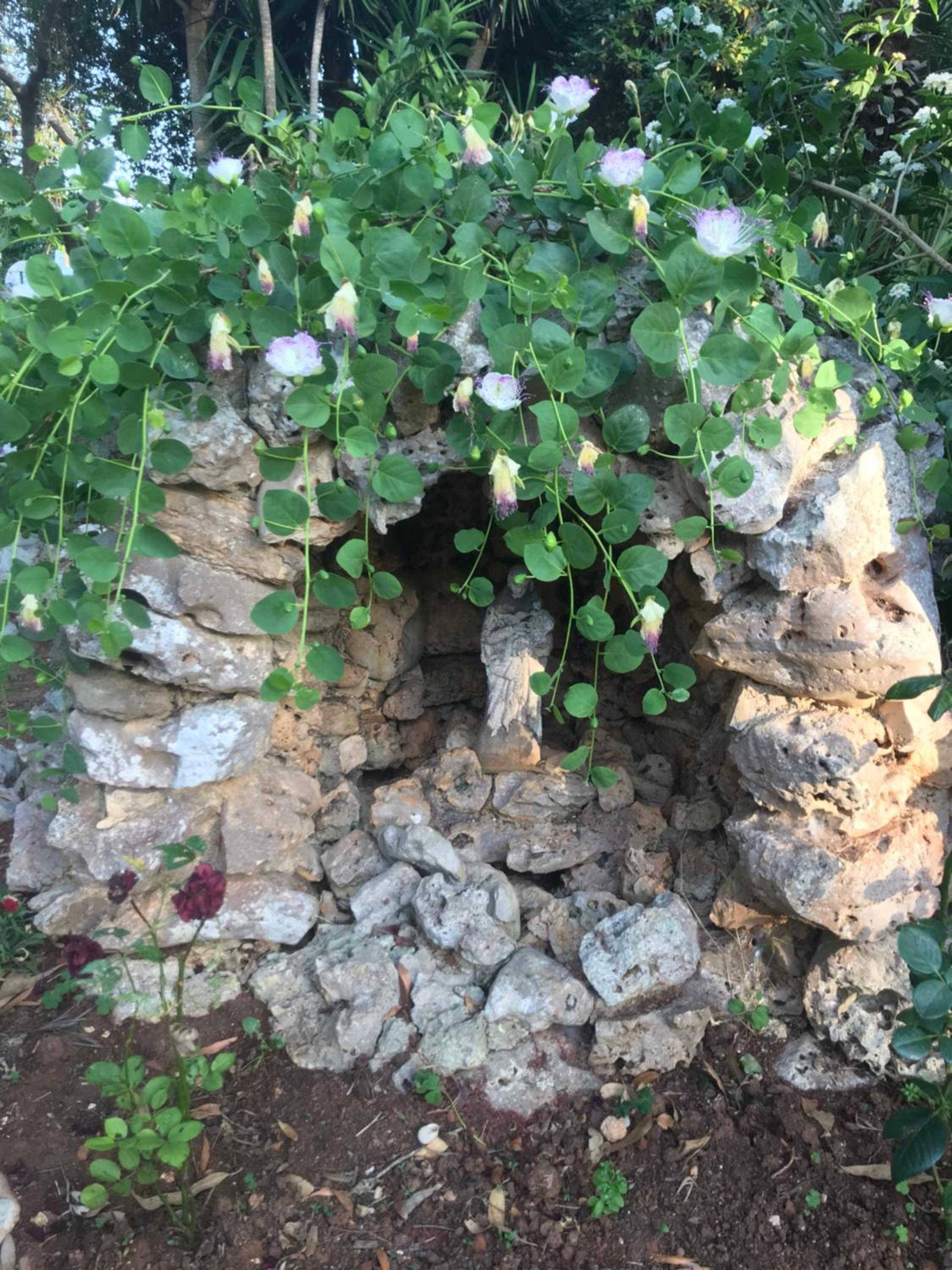 Photo 27