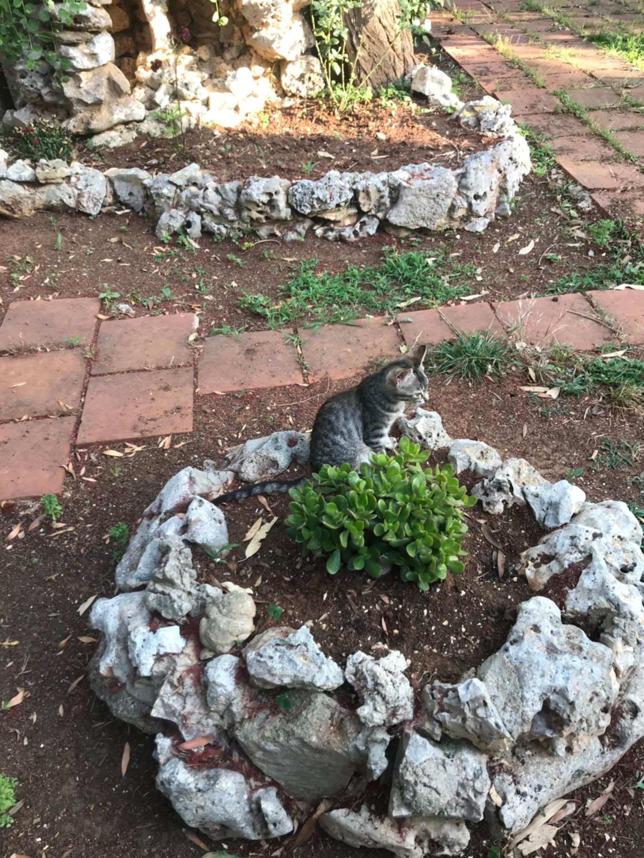Photo 28