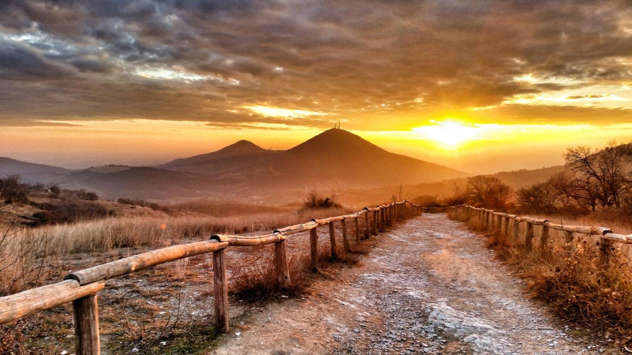 Photo 30