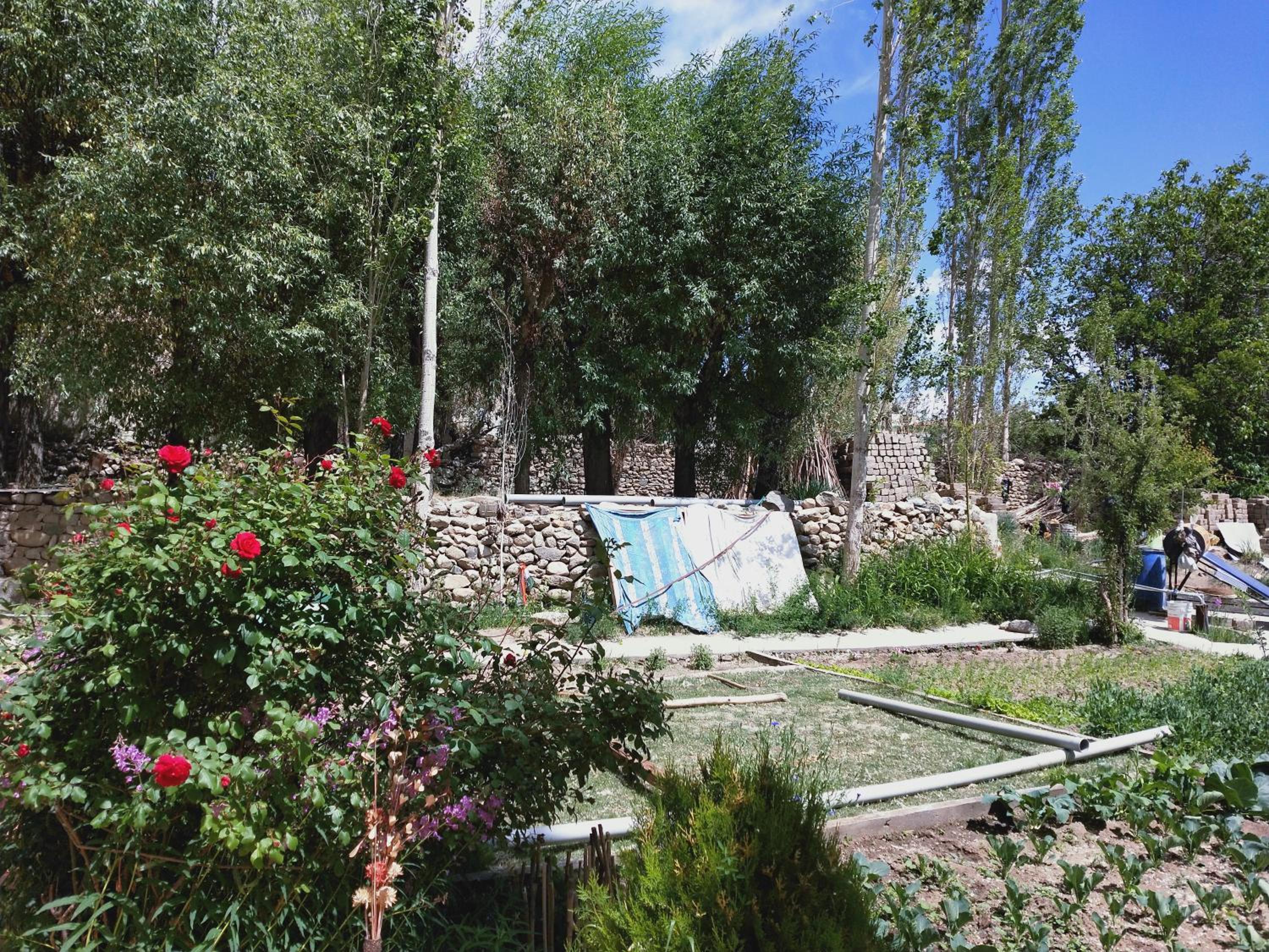 Photo 9