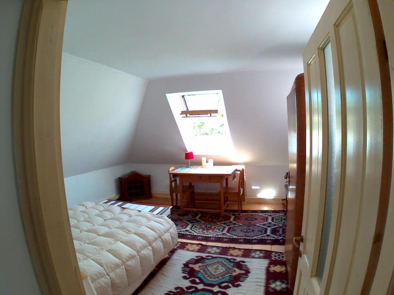 Photo 45