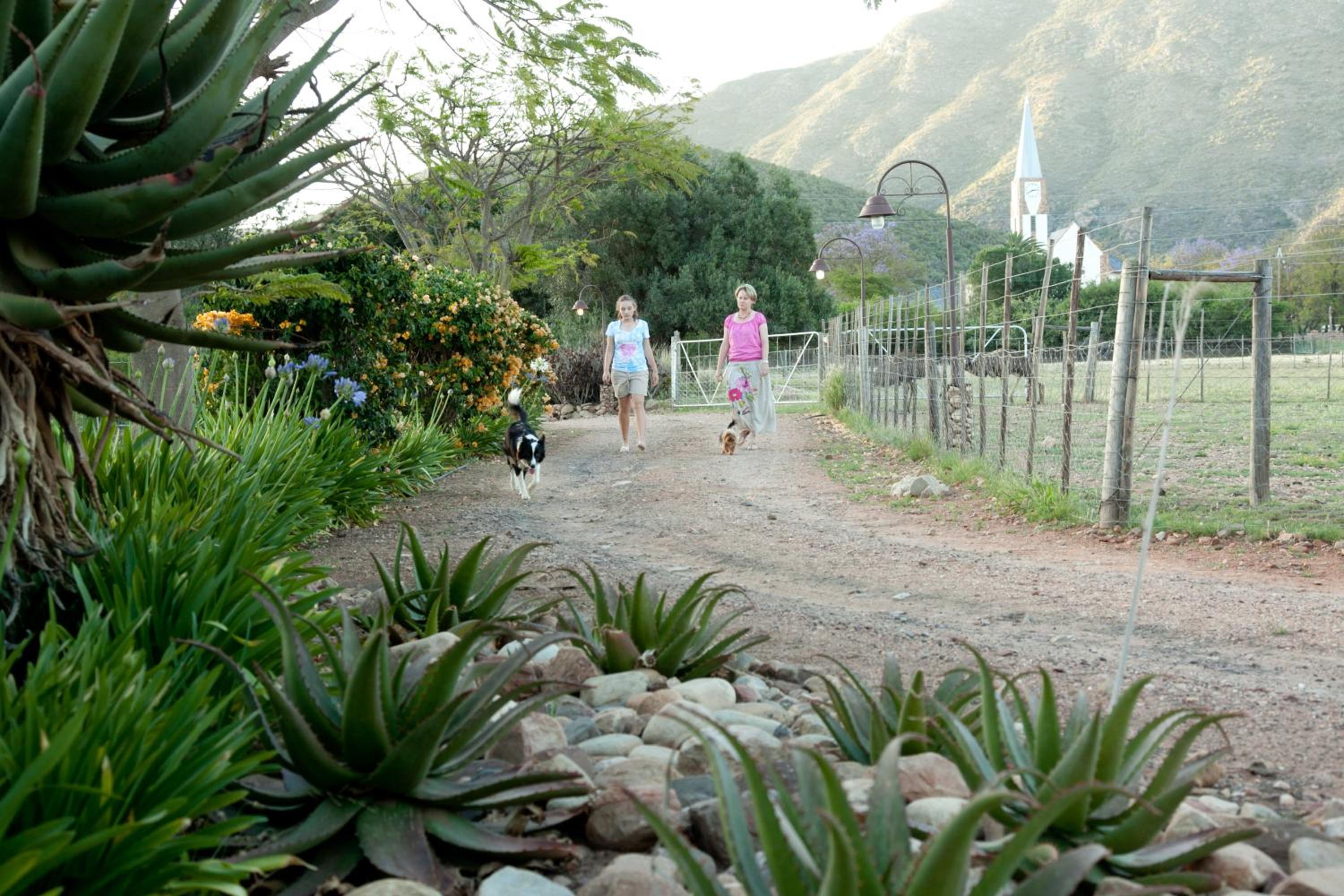 Photo 44