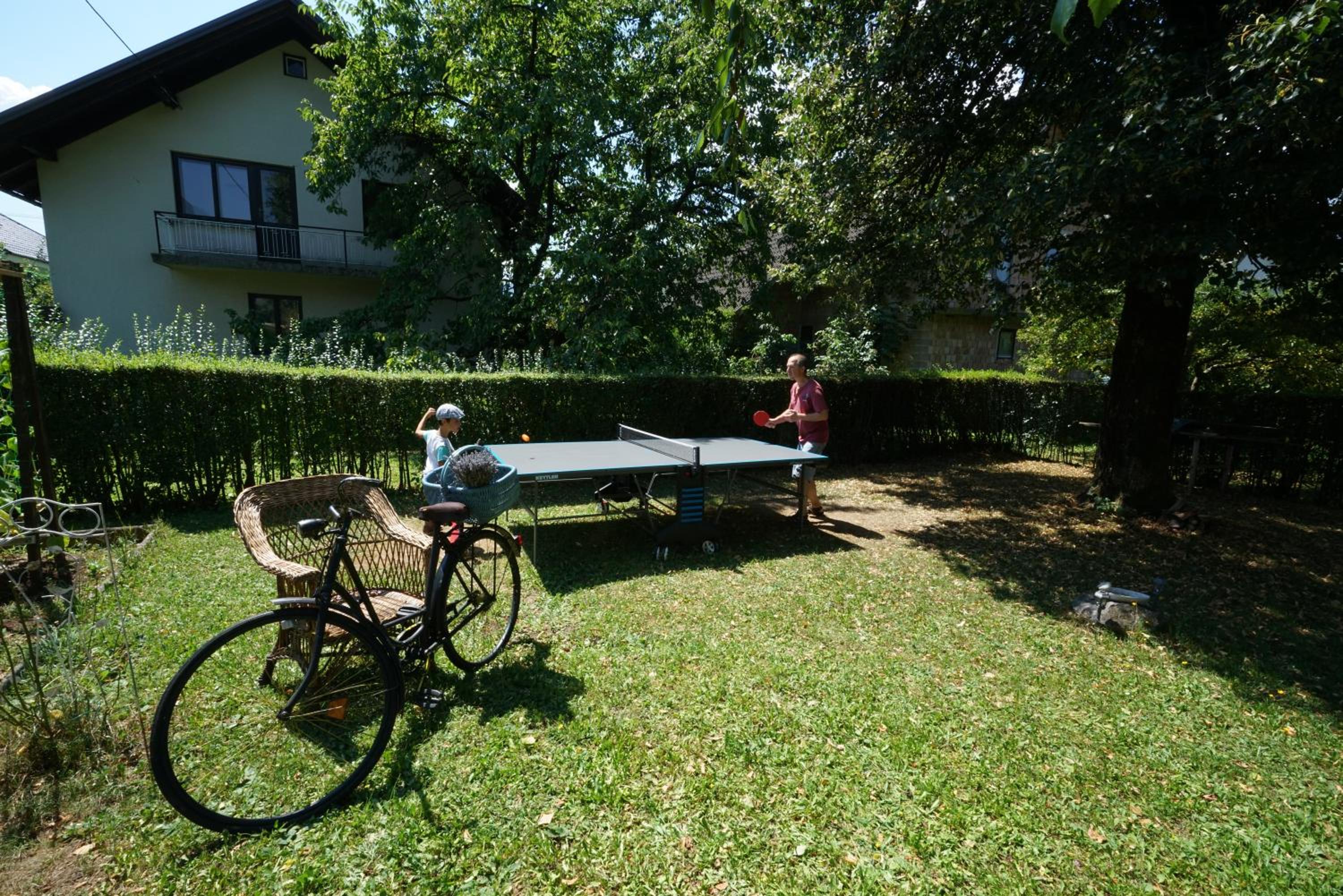 Photo 42