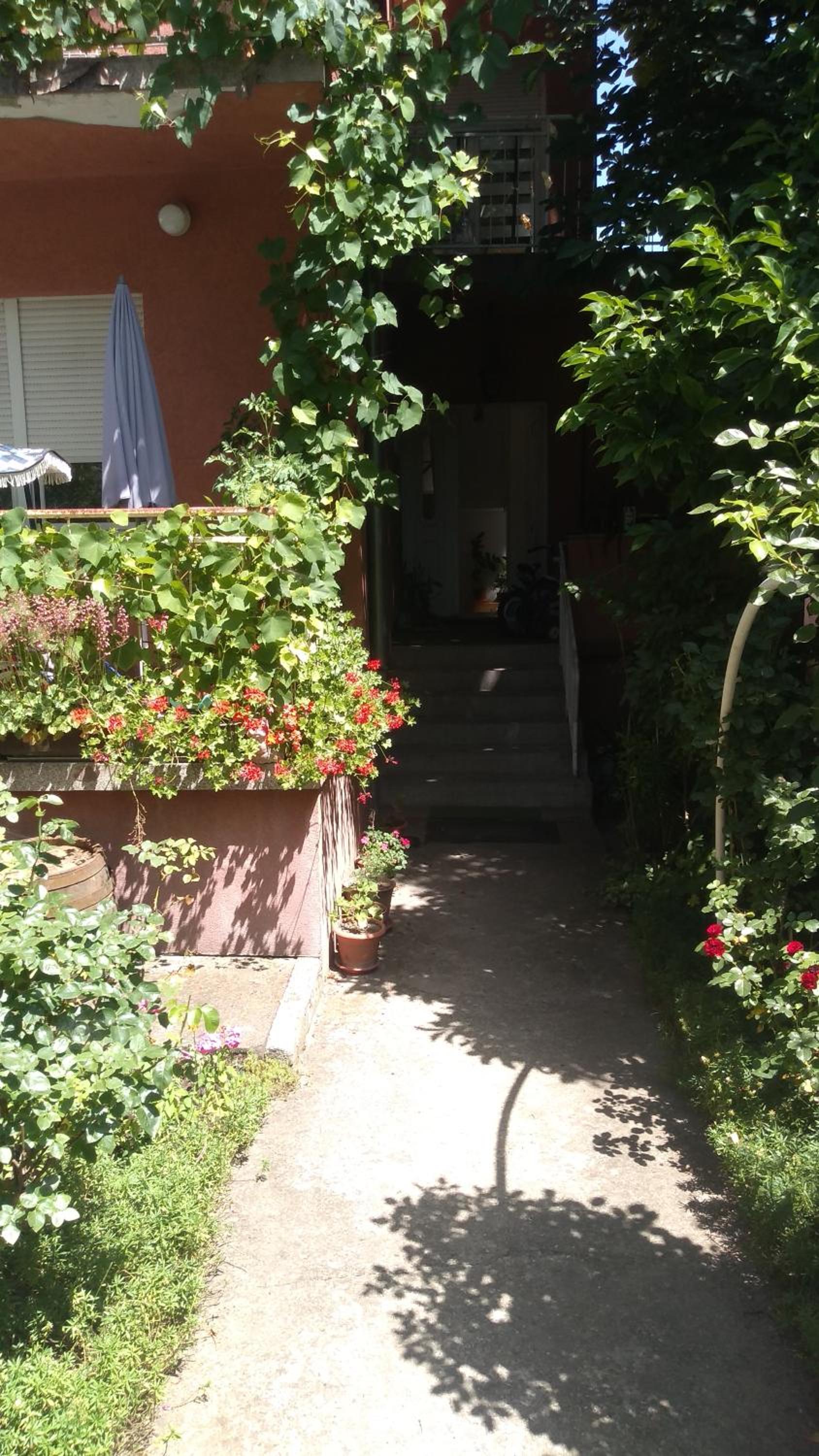Photo 24