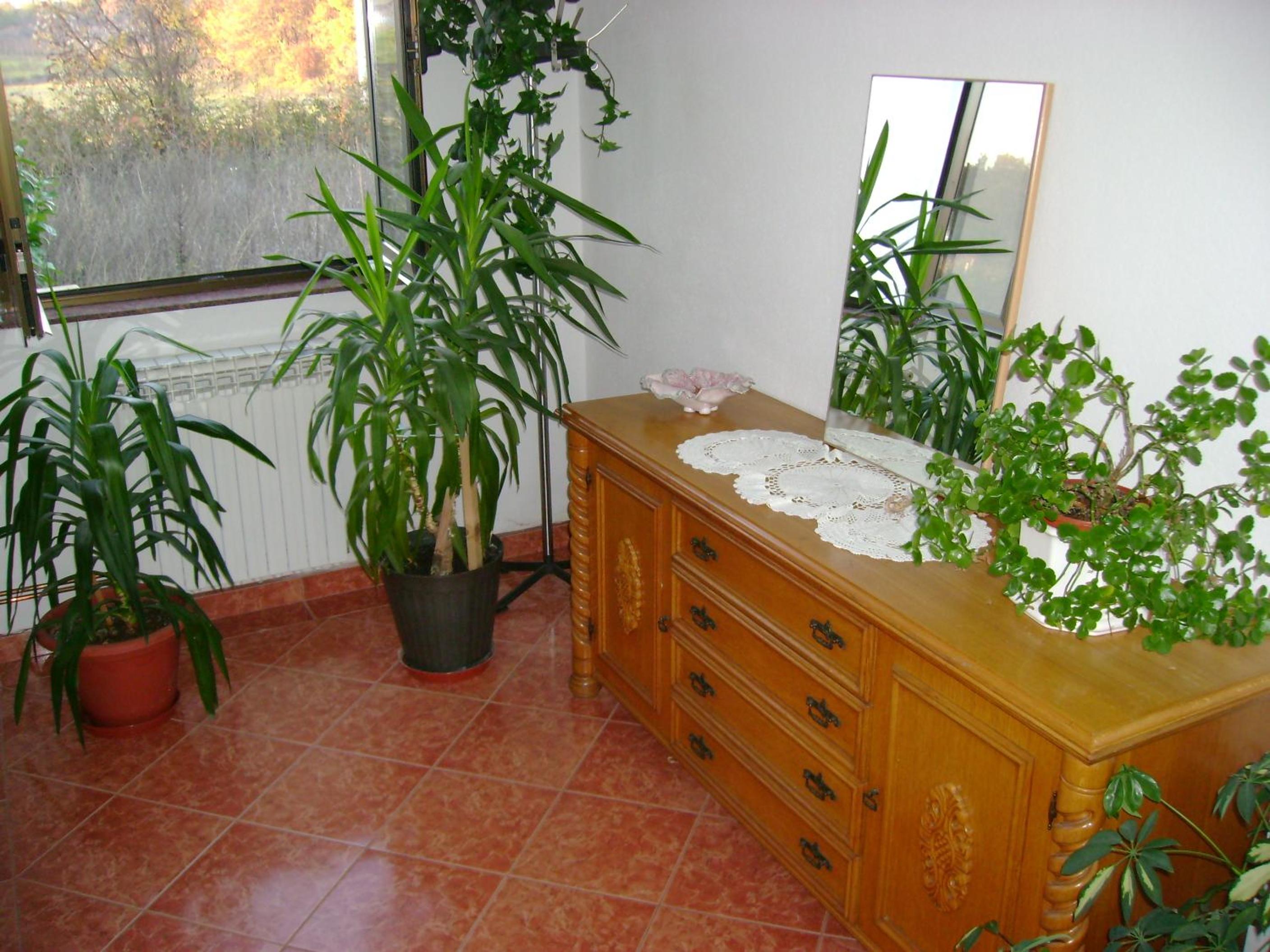 Guest House Robi