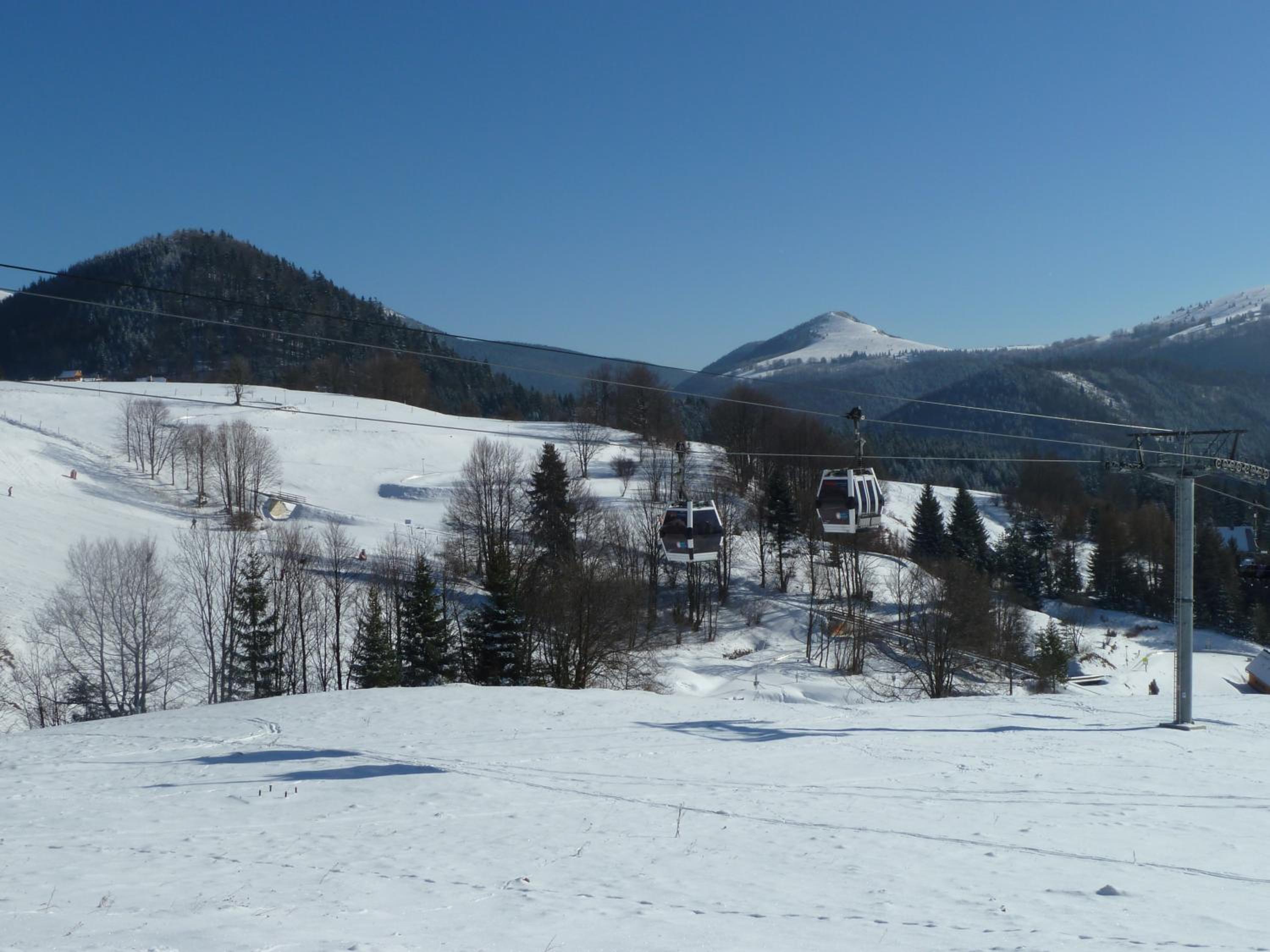 Photo 46