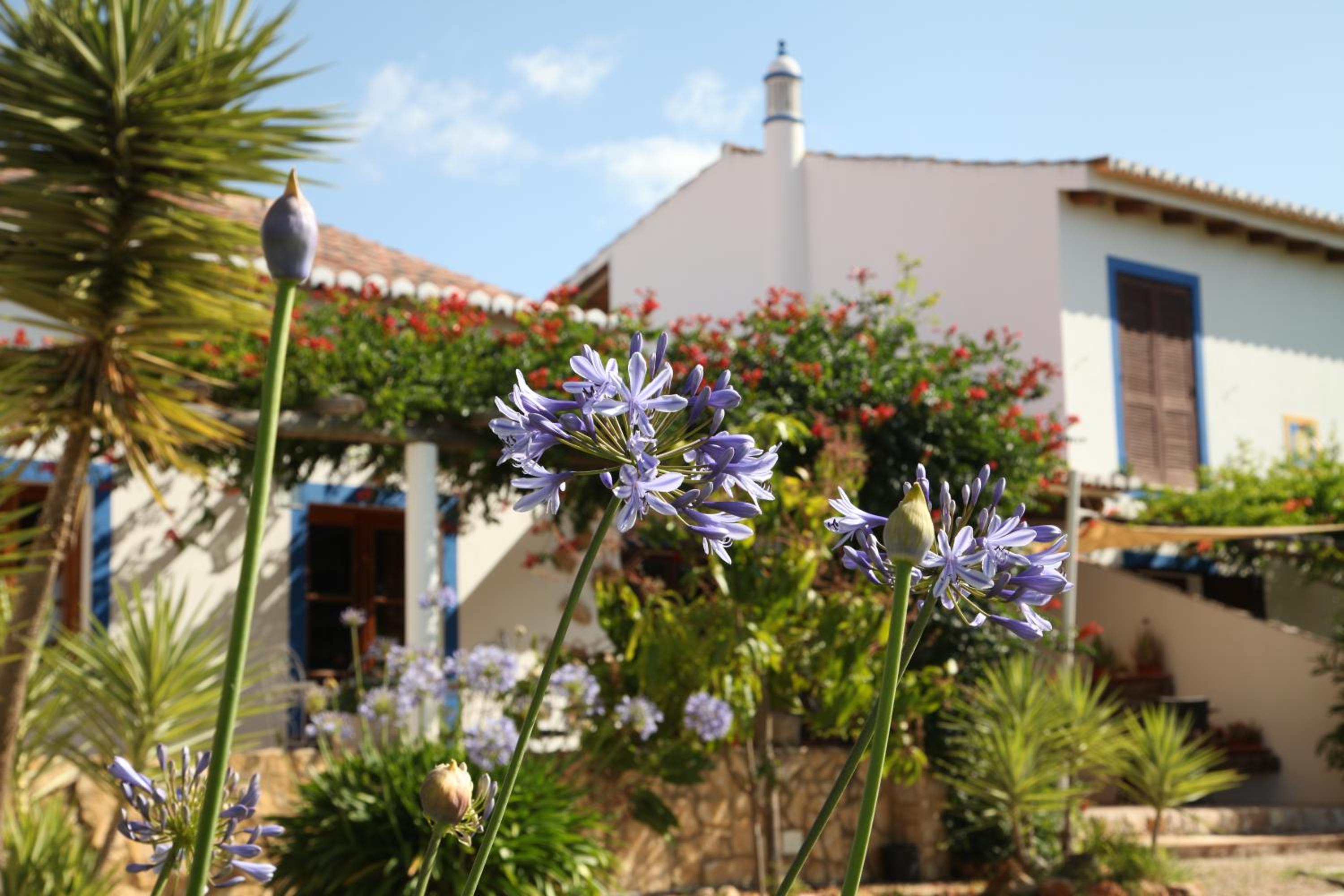 Quinta do Rio Country Inn view 4