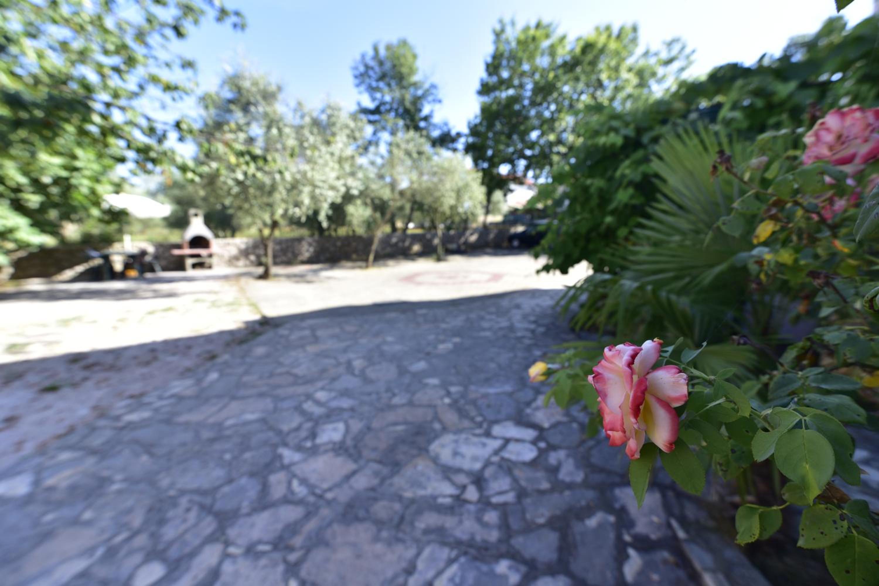 Photo 40