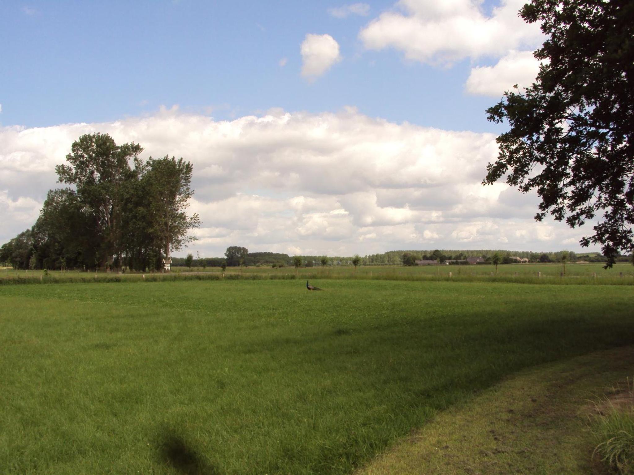 Photo 25