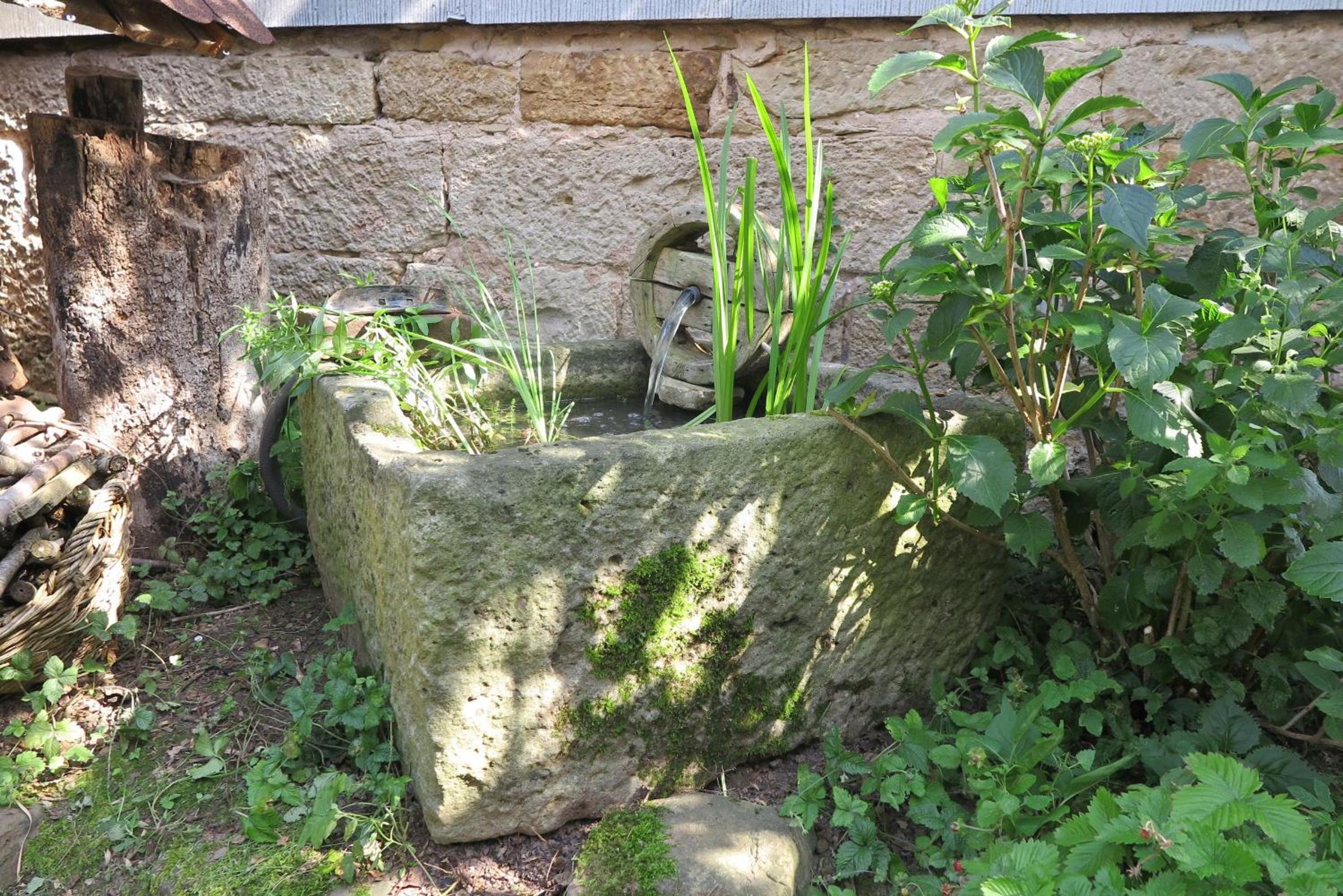 Photo 19