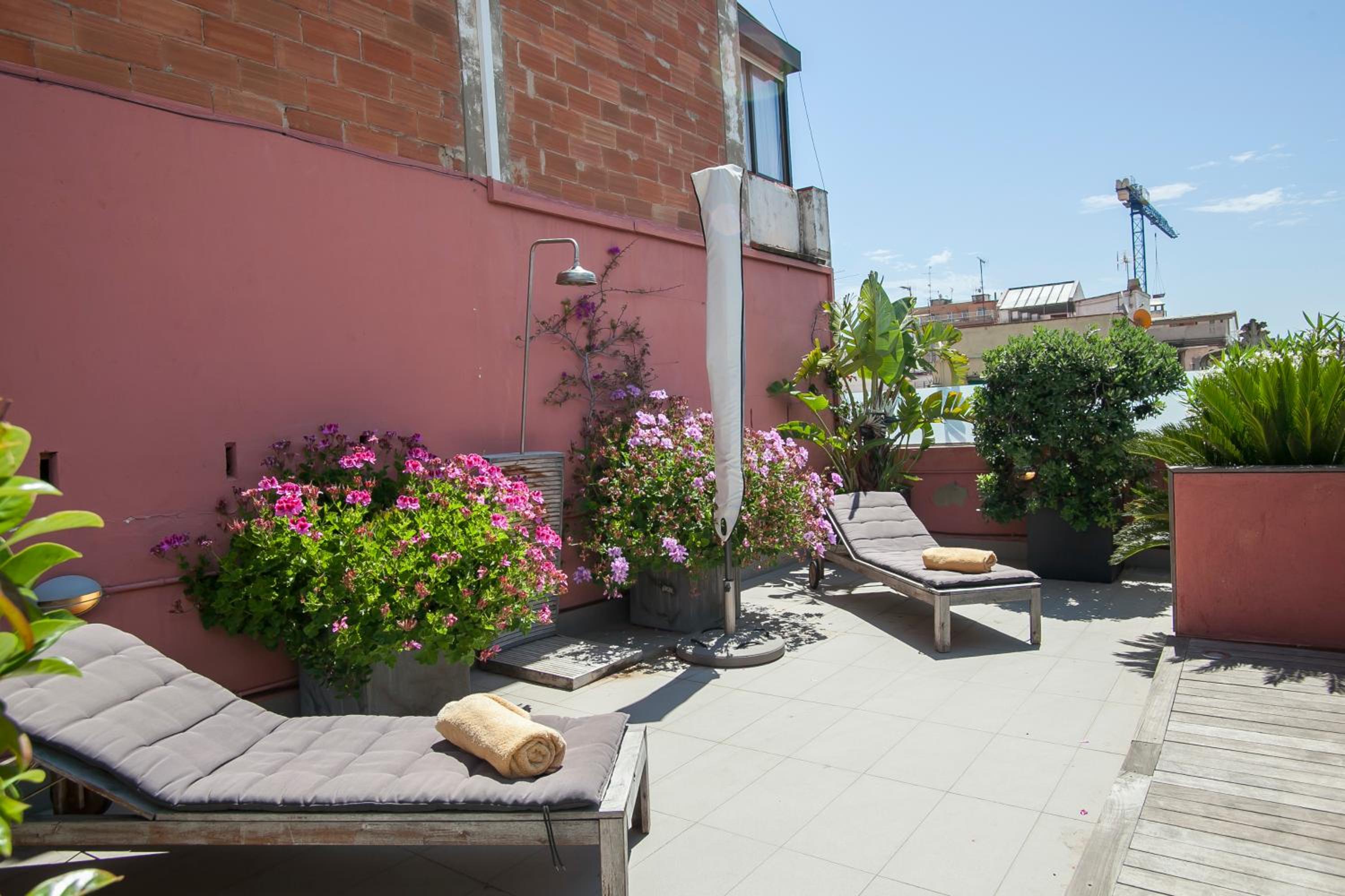 balance & terrace