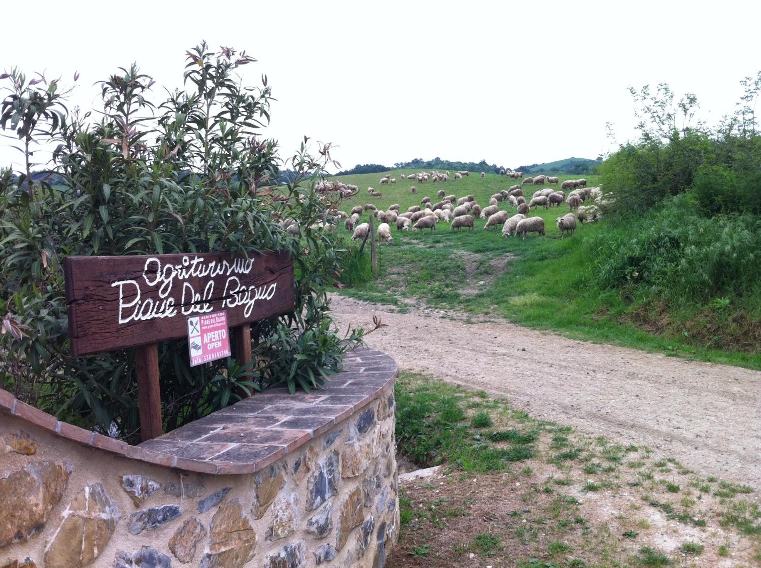 Photo 40