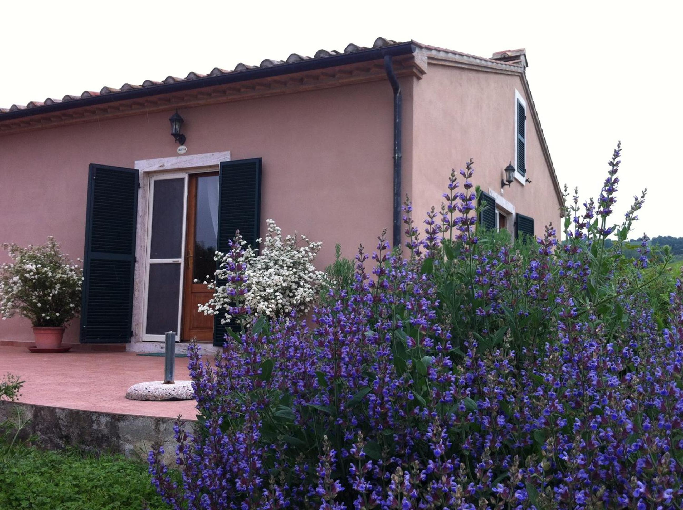 Photo 16