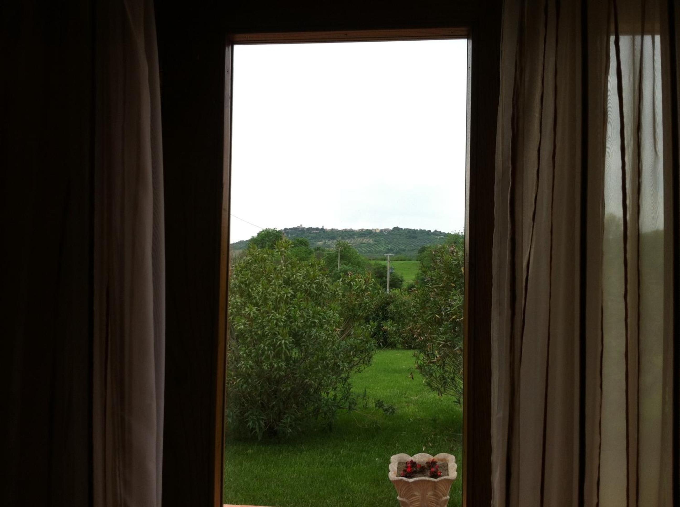 Photo 42