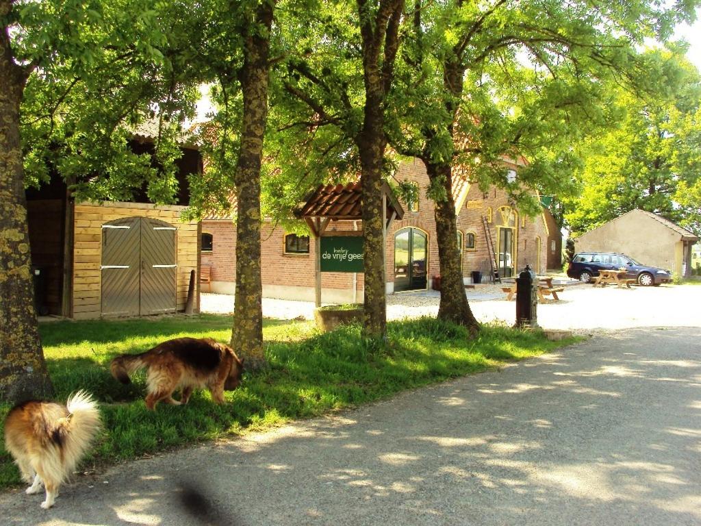 Photo 11
