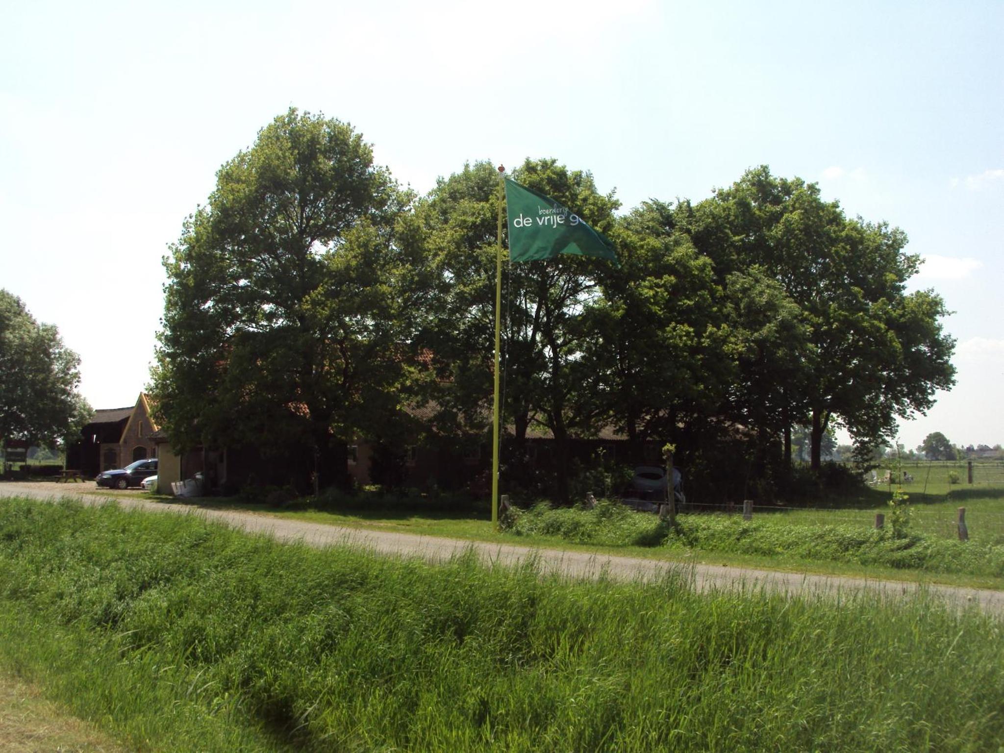 Photo 16