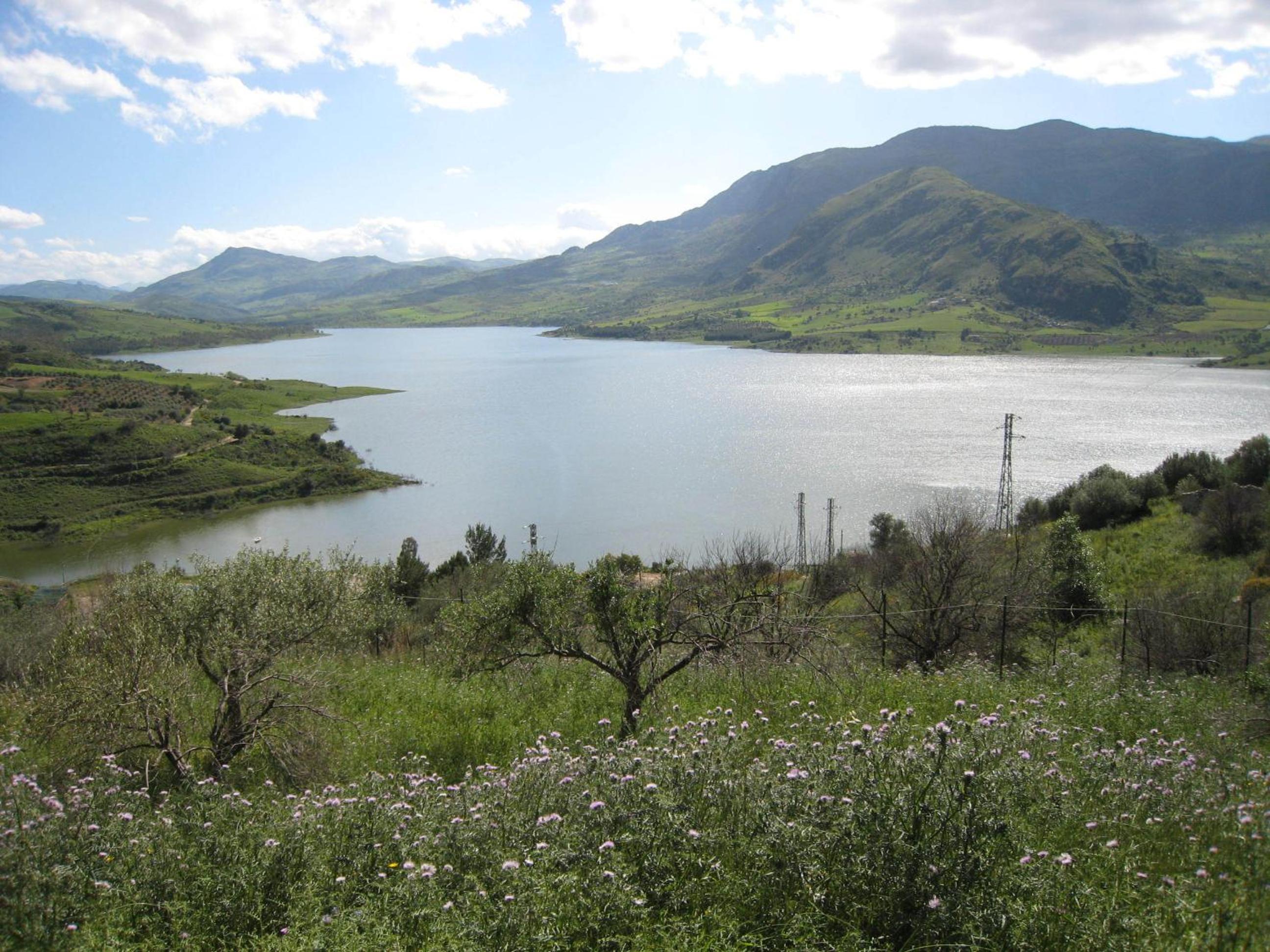 Photo 30
