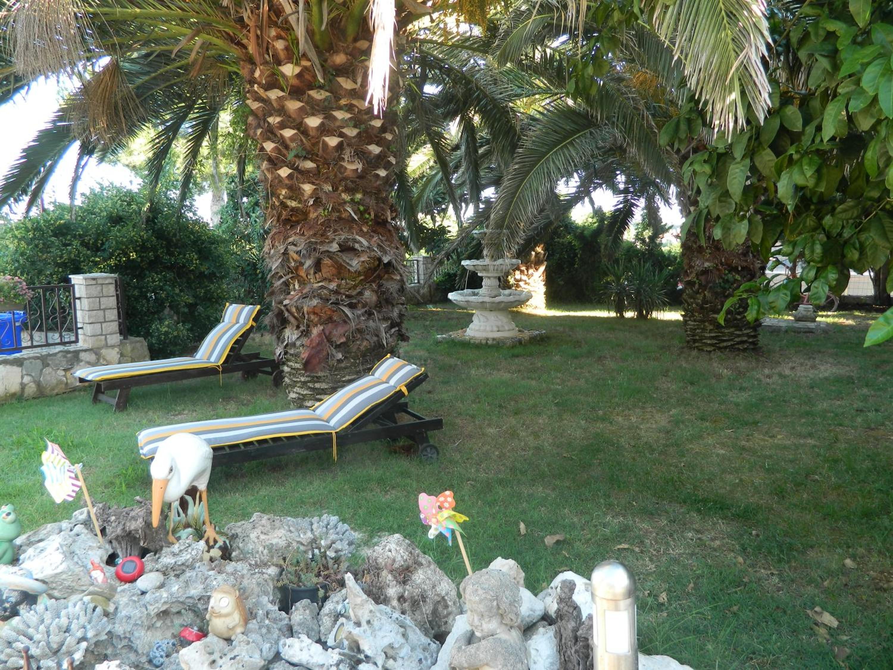 Photo 43