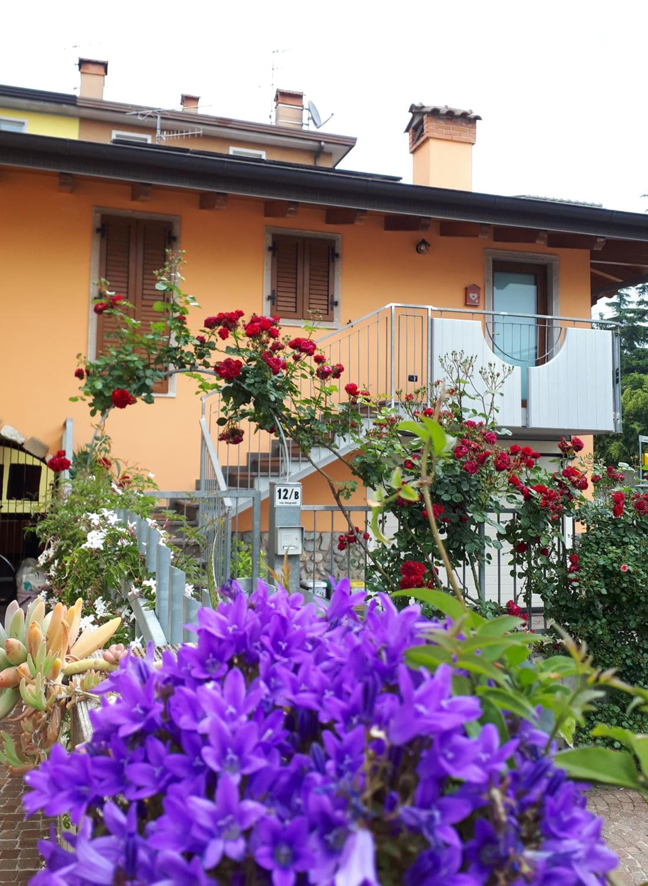 ECO - Villetta Arcobaleno view 3