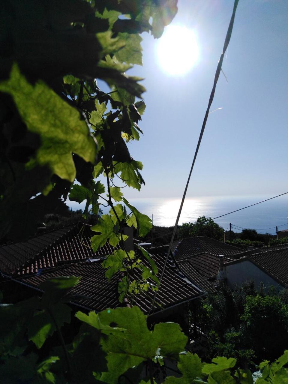 Lefki's house view 5