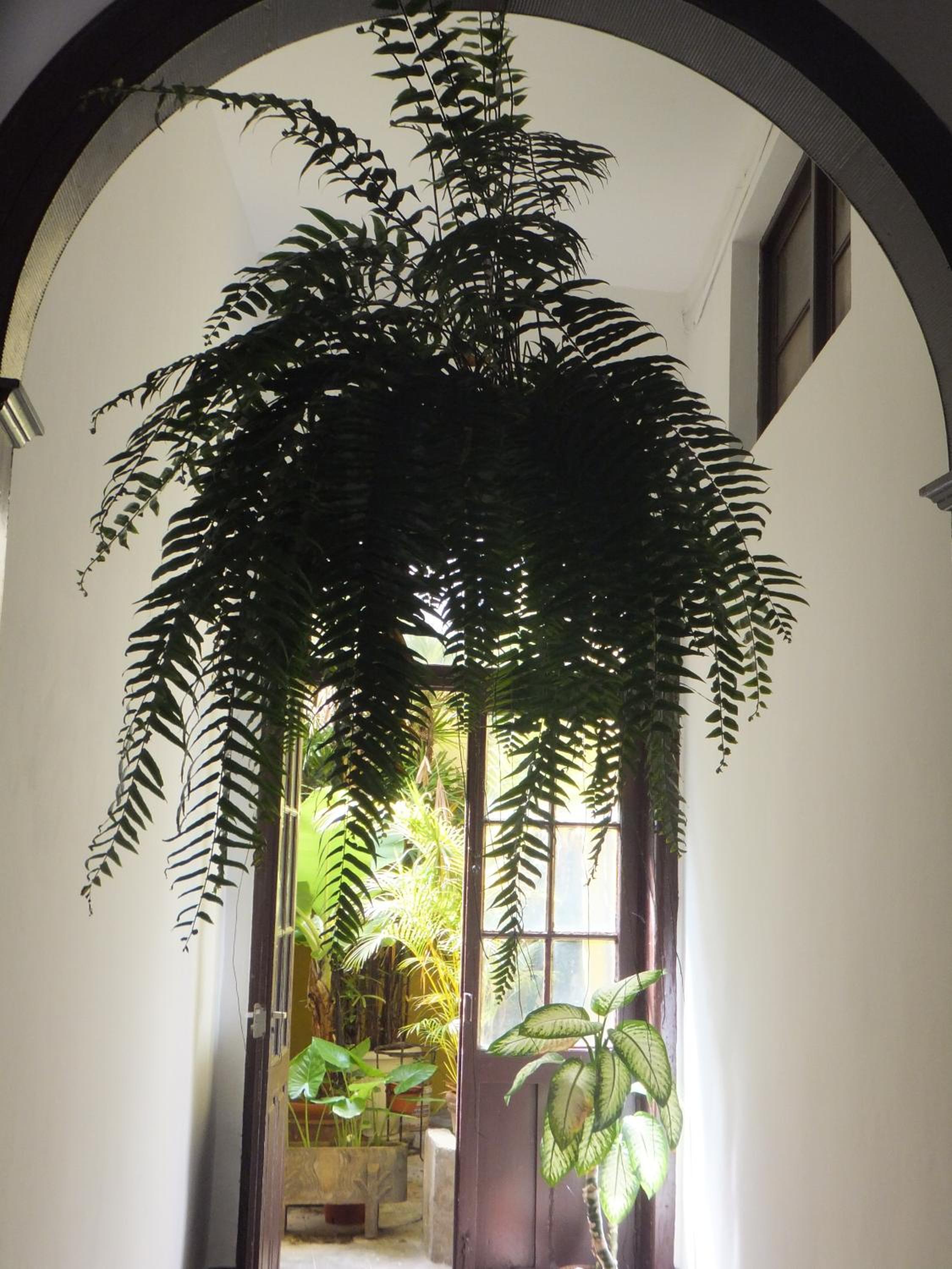 Photo 45