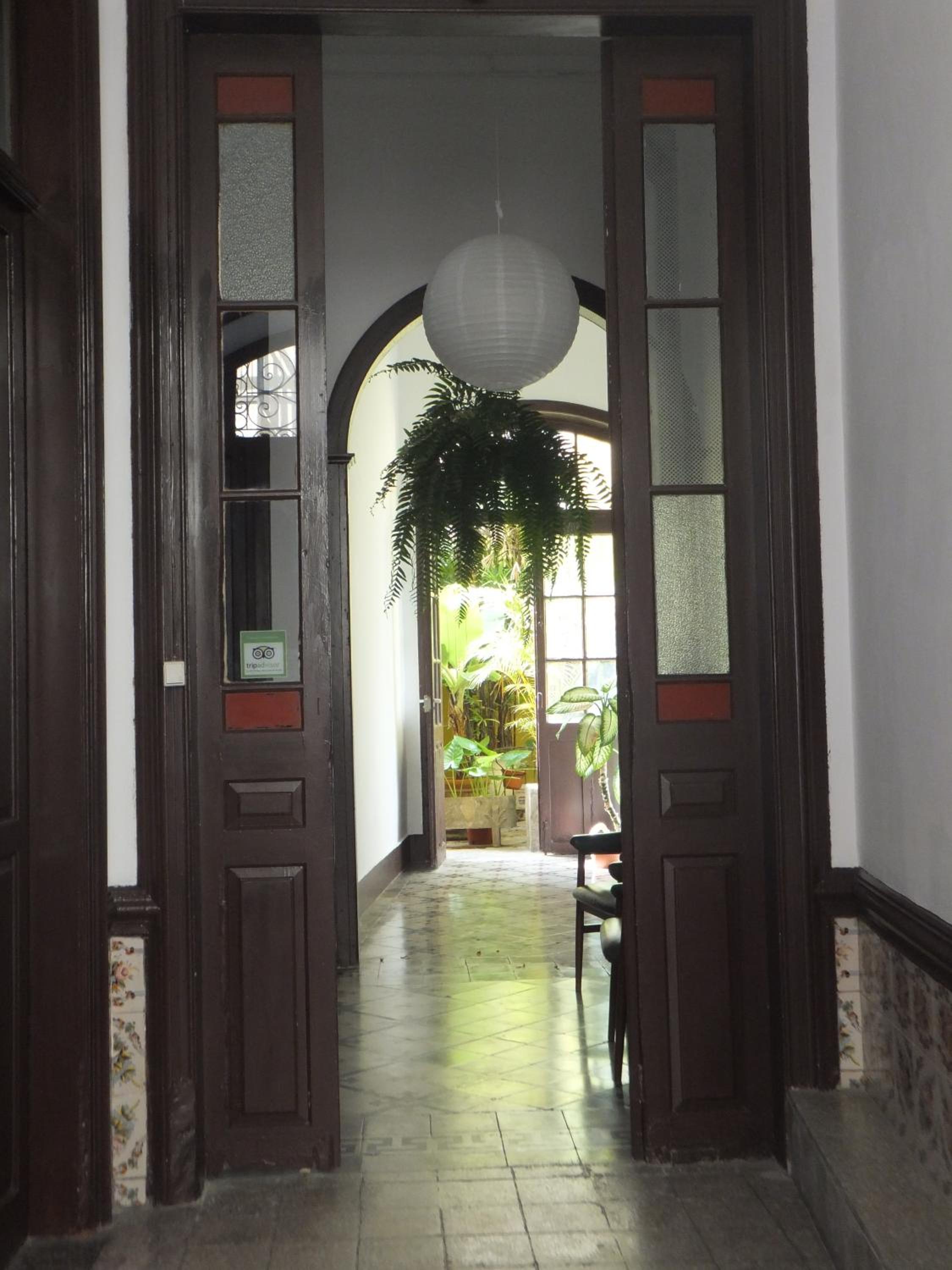 Photo 46