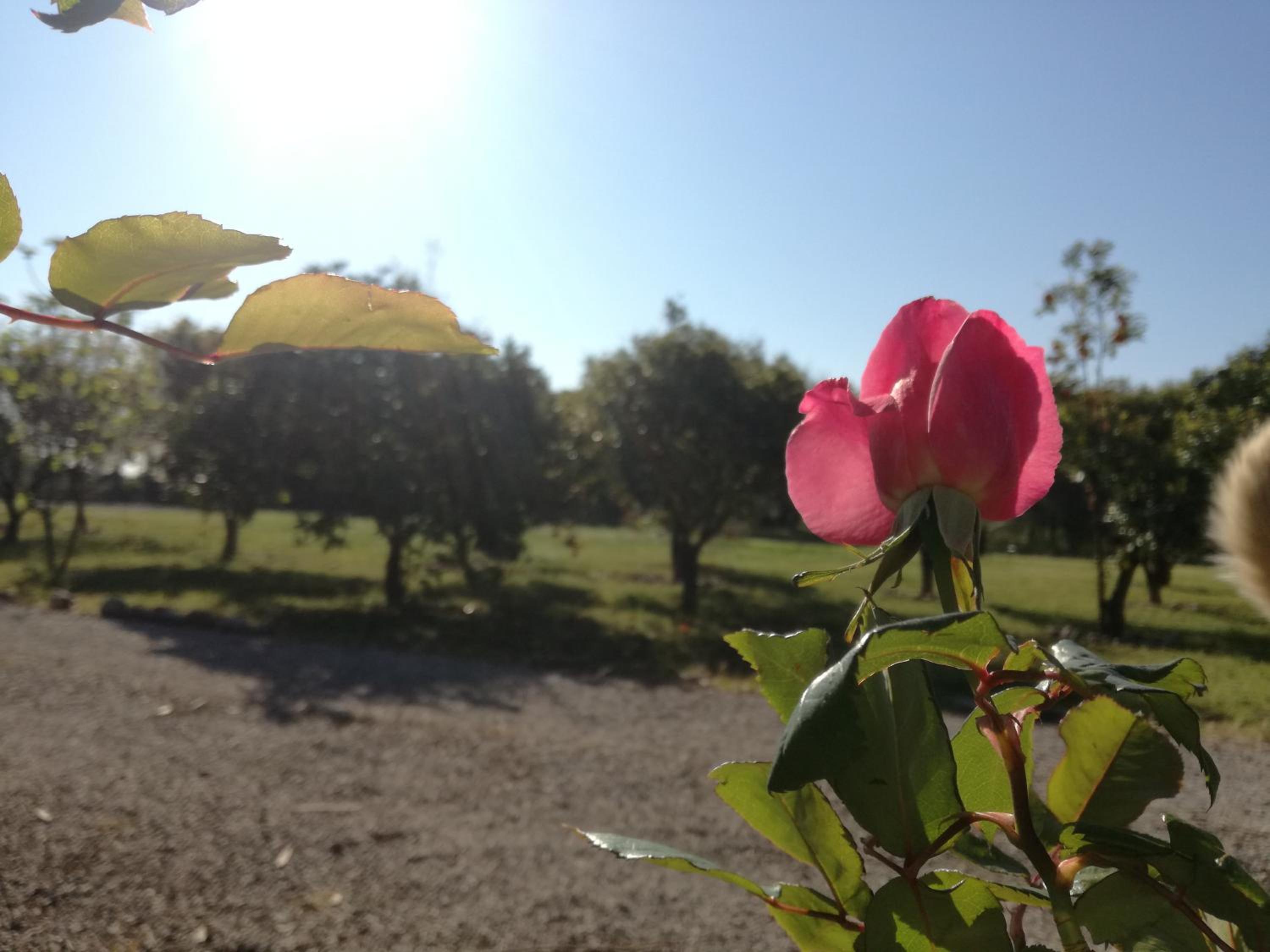 Photo 42